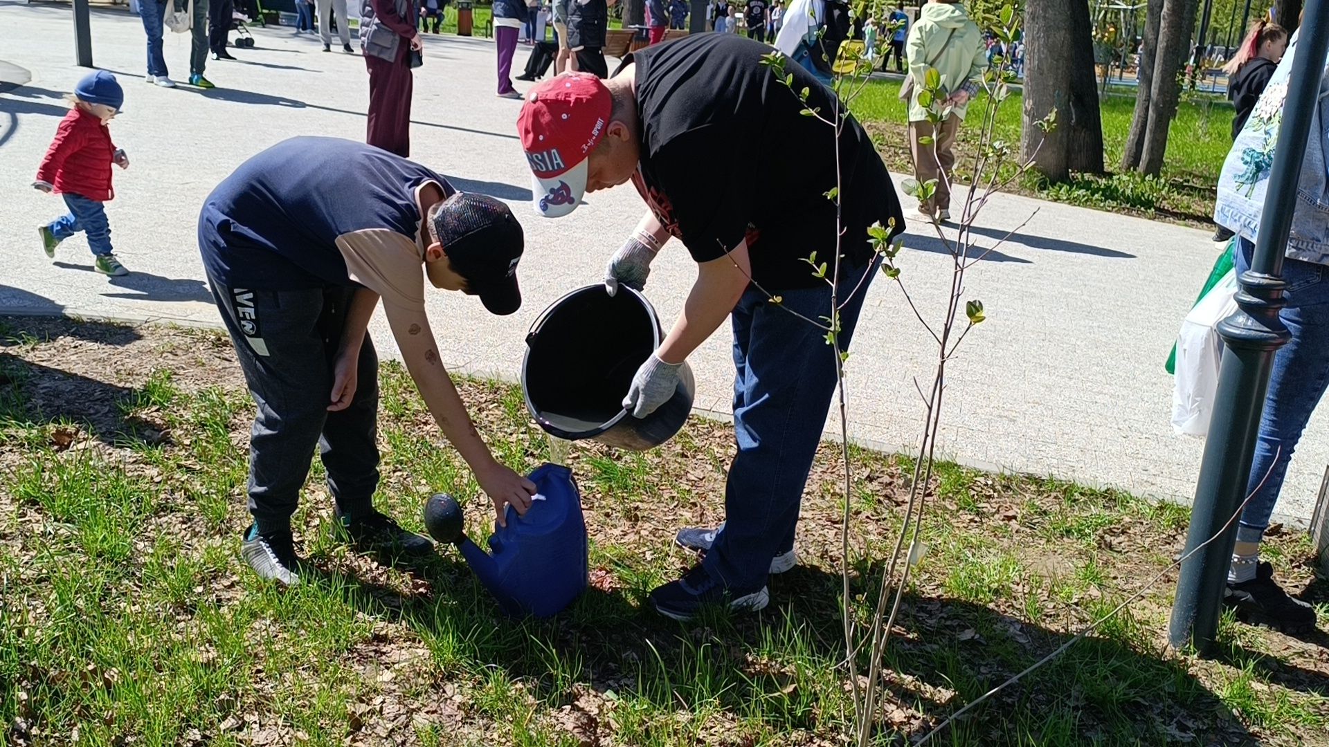 парк, огород, лобня,