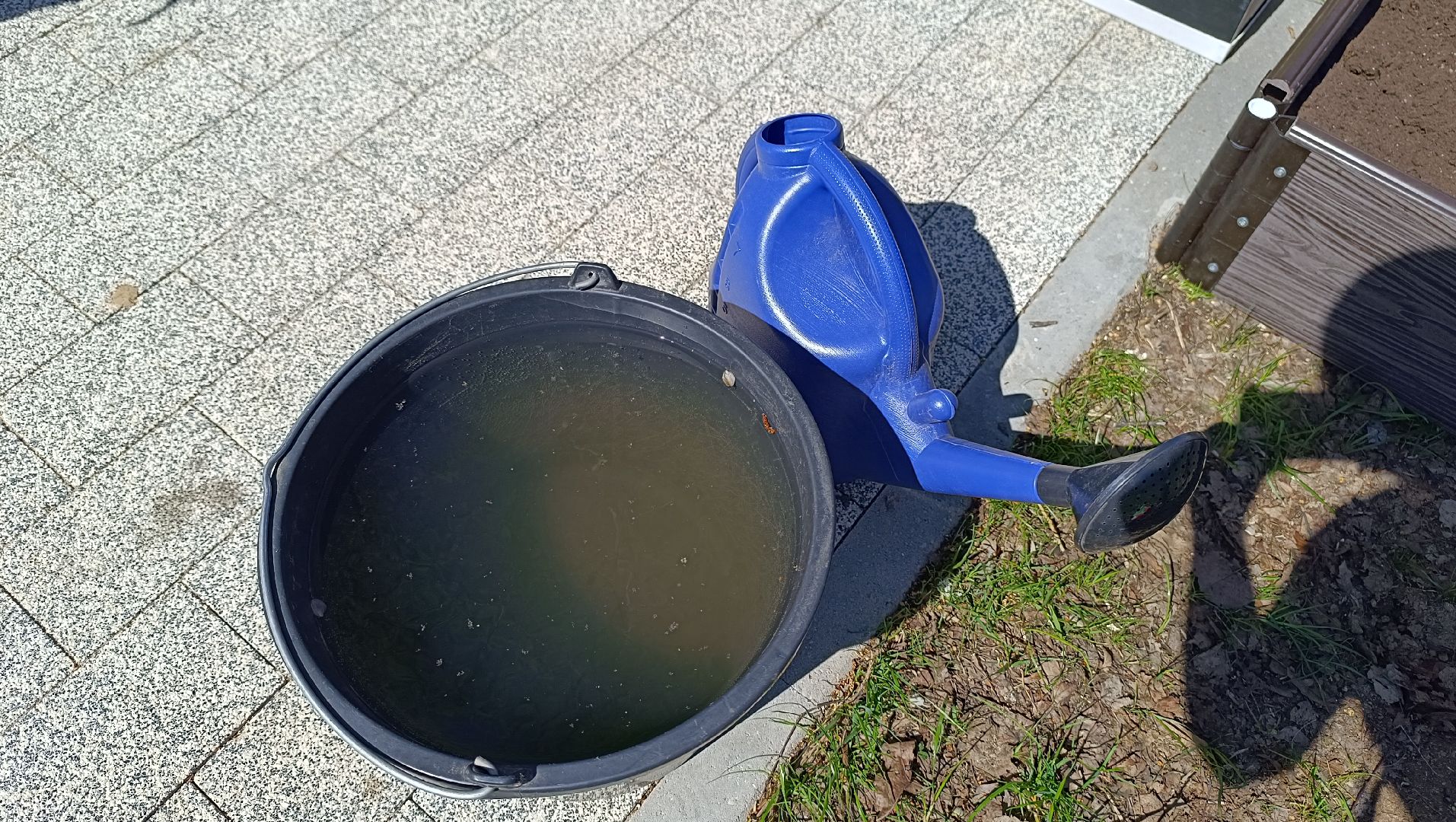 парк, огород, лобня,