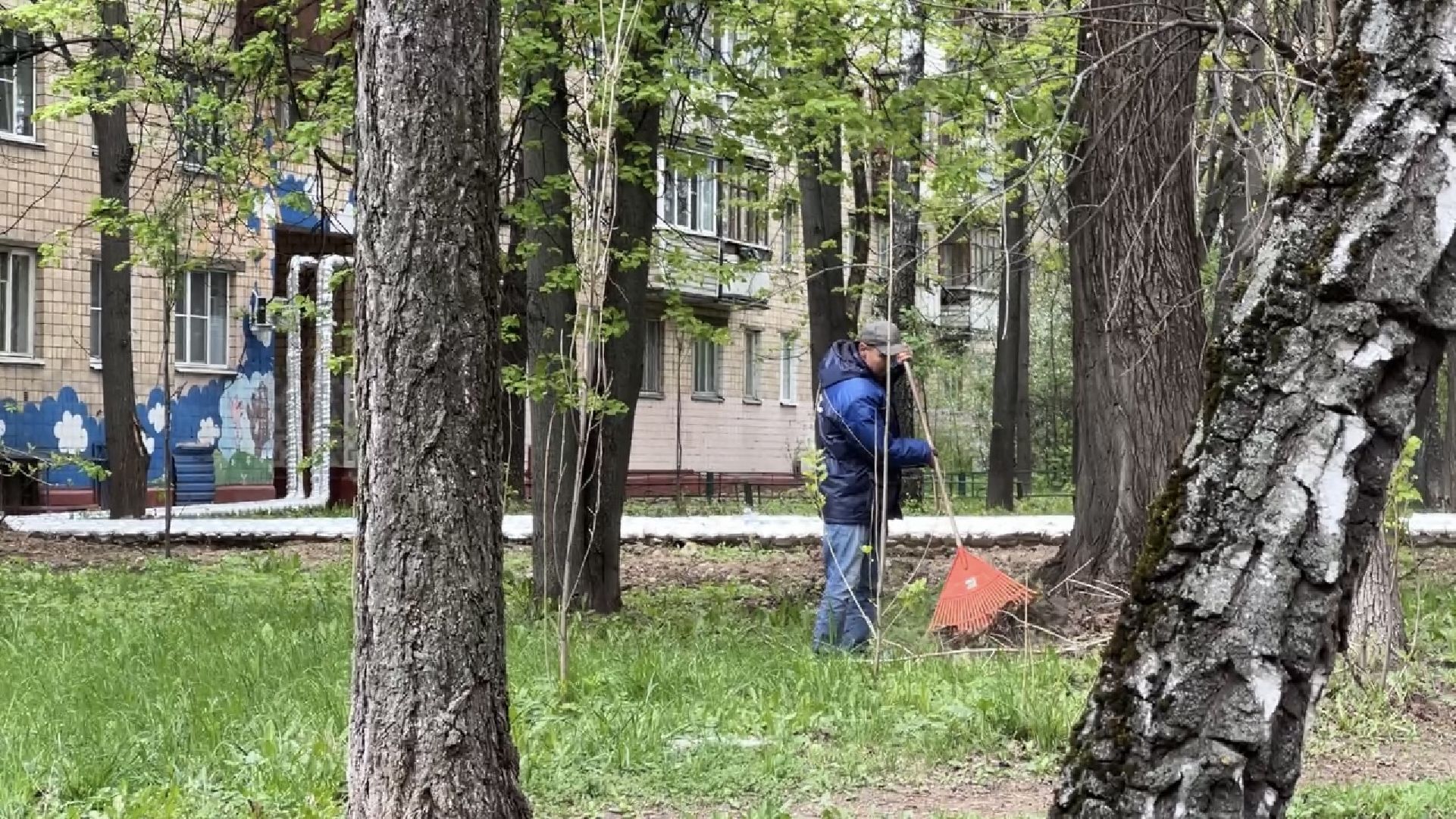 химки, жкх, уборка дворов, благоустройство,