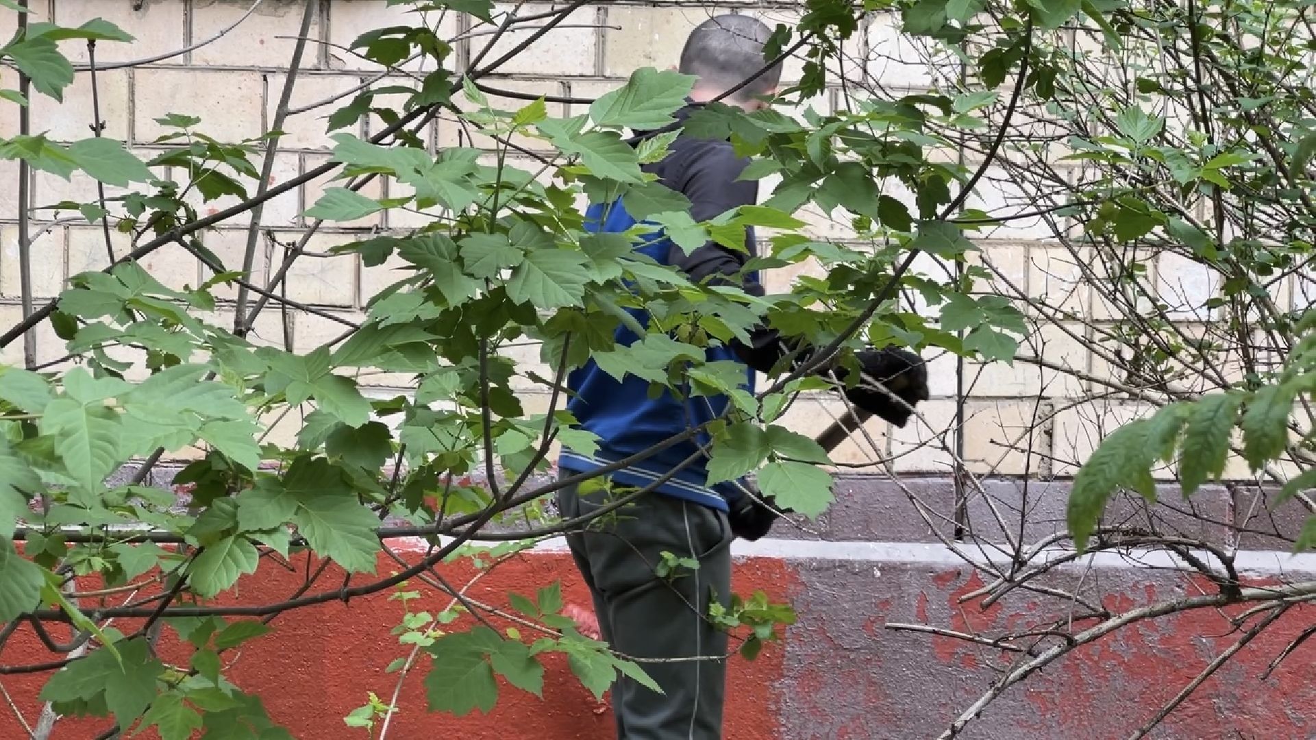 химки, жкх, уборка дворов, благоустройство,