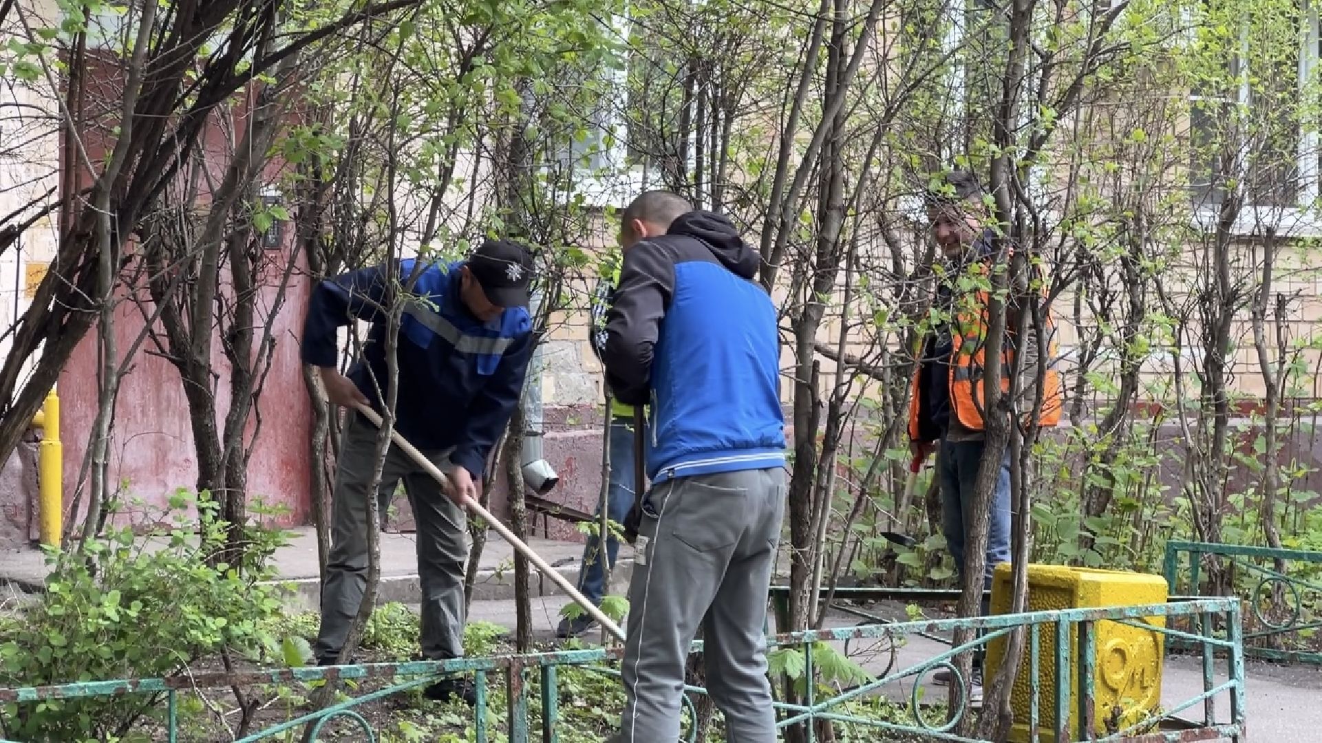 химки, жкх, уборка дворов, благоустройство,