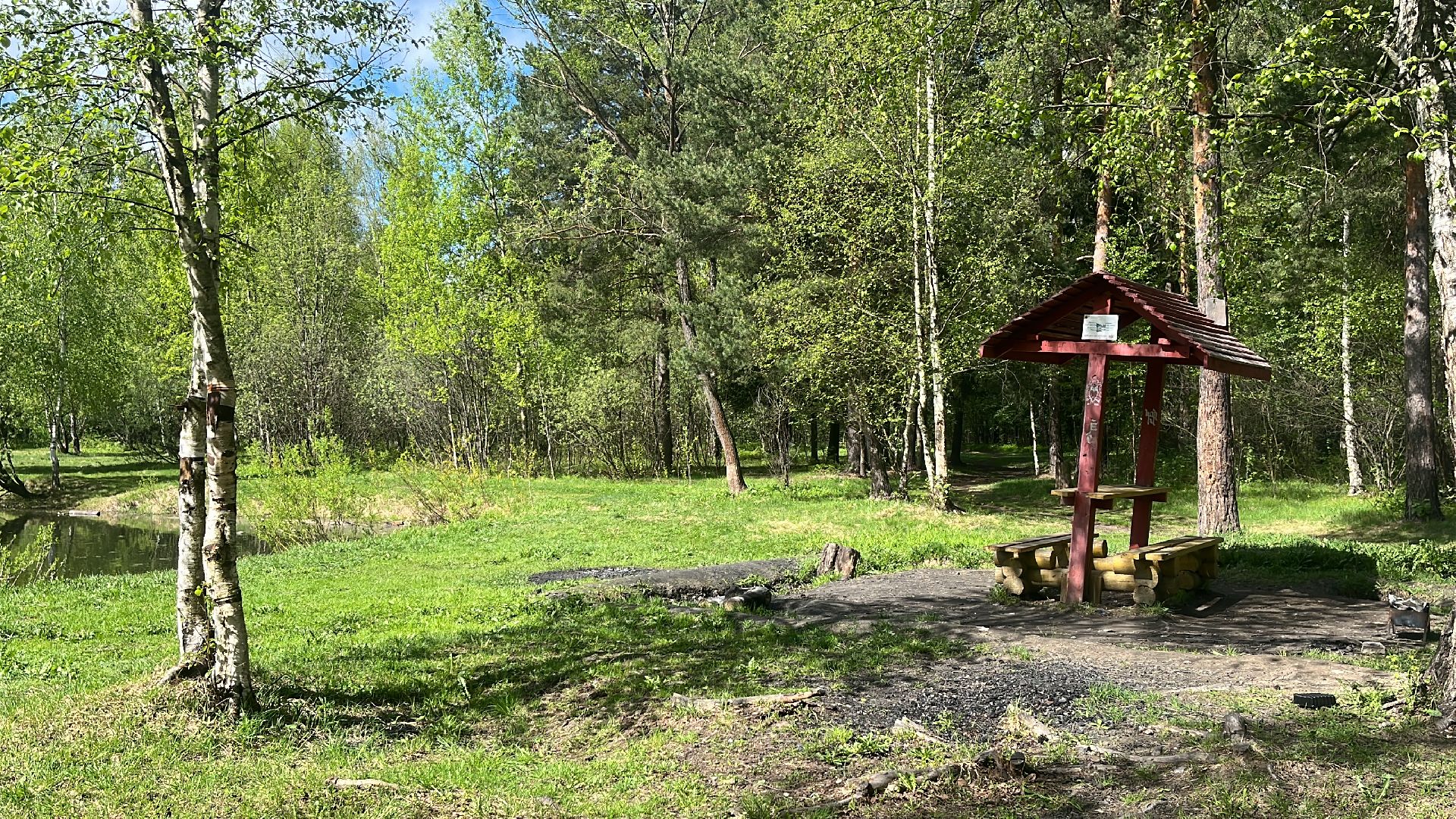 шашлык, шашлыки, шашлык у озера, озеро,