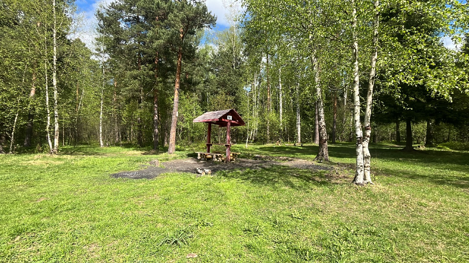 шашлык, шашлыки, шашлык у озера, озеро,