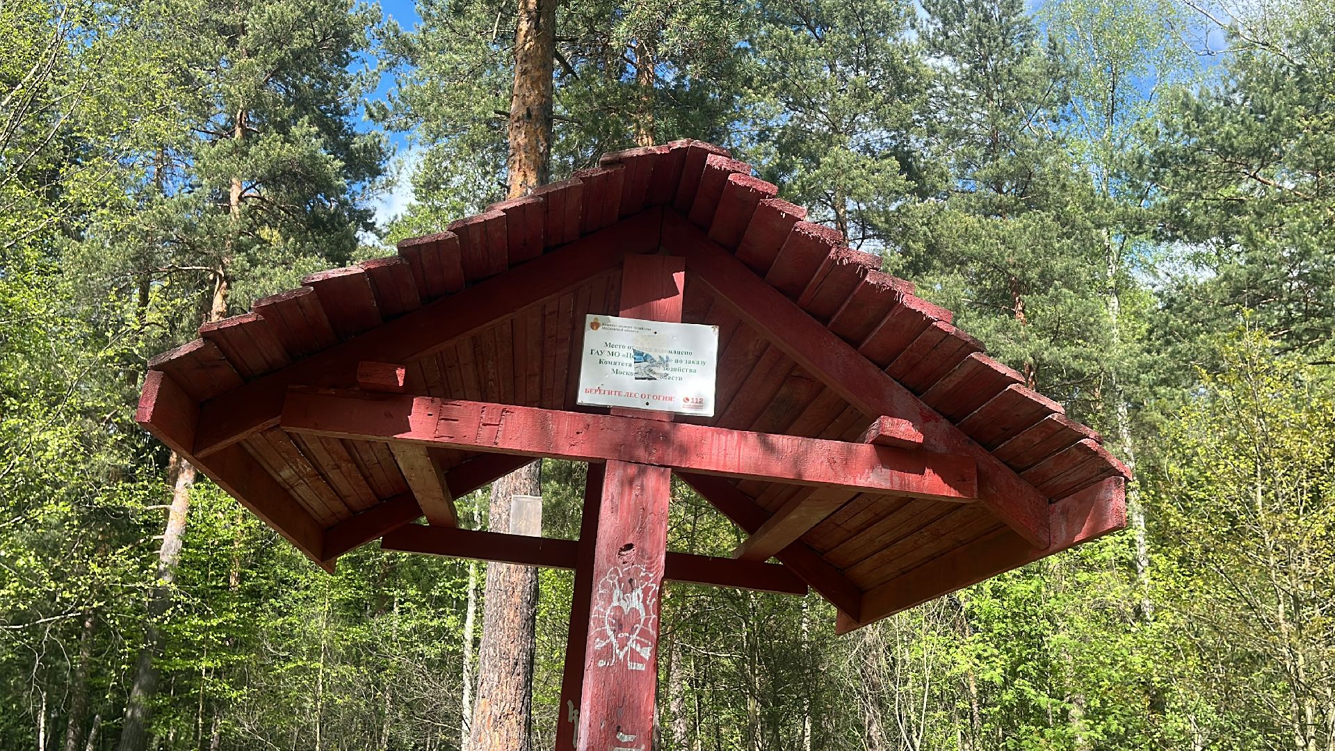 шашлык, шашлыки, шашлык у озера, озеро,