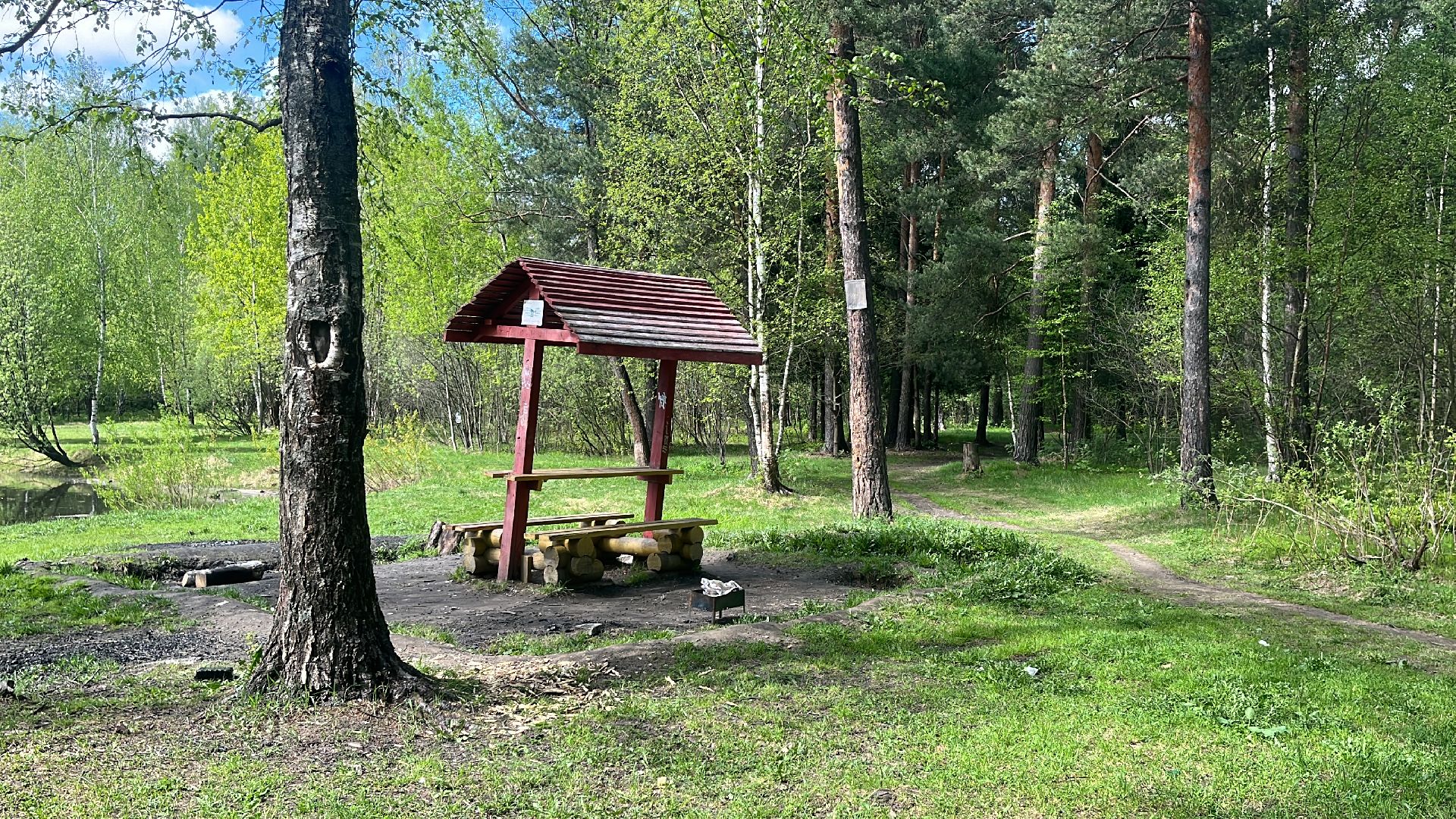 шашлык, шашлыки, шашлык у озера, озеро,