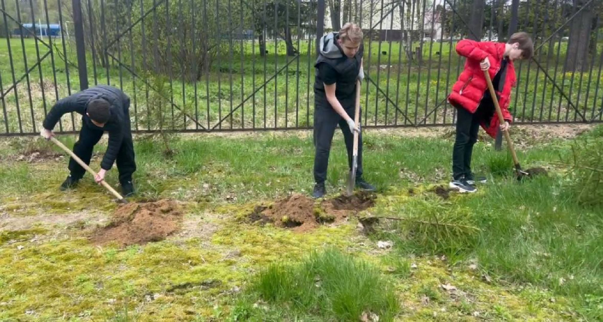 добрые дела, школьники, посадка деревьев,