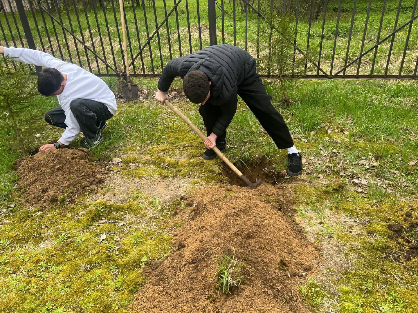 добрые дела, школьники, посадка деревьев,