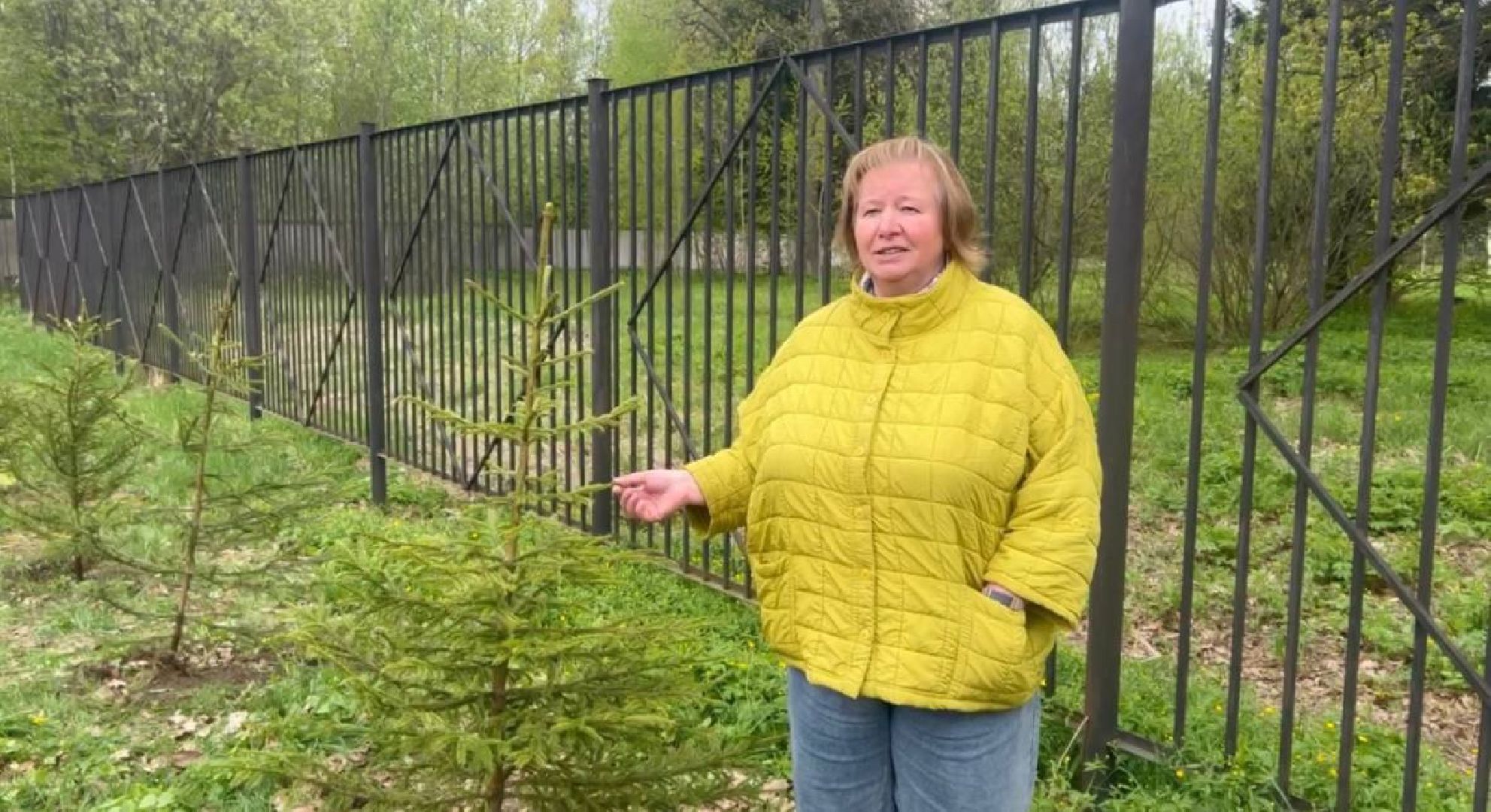 добрые дела, школьники, посадка деревьев,