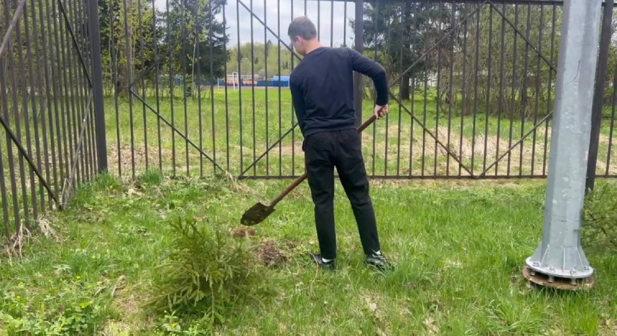 добрые дела, школьники, посадка деревьев,