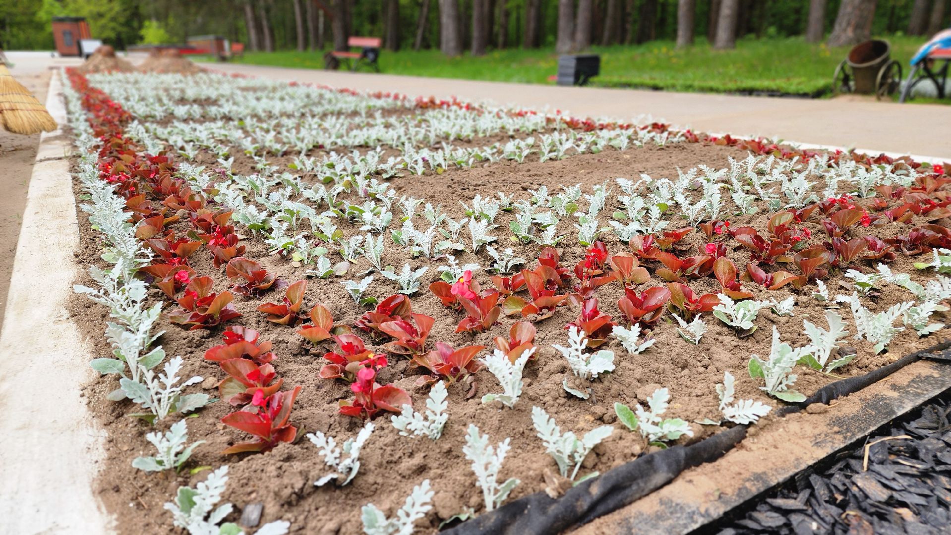 протвино, рубеж обороны, цветы, подготовка к Дню Победы, благоустройство,