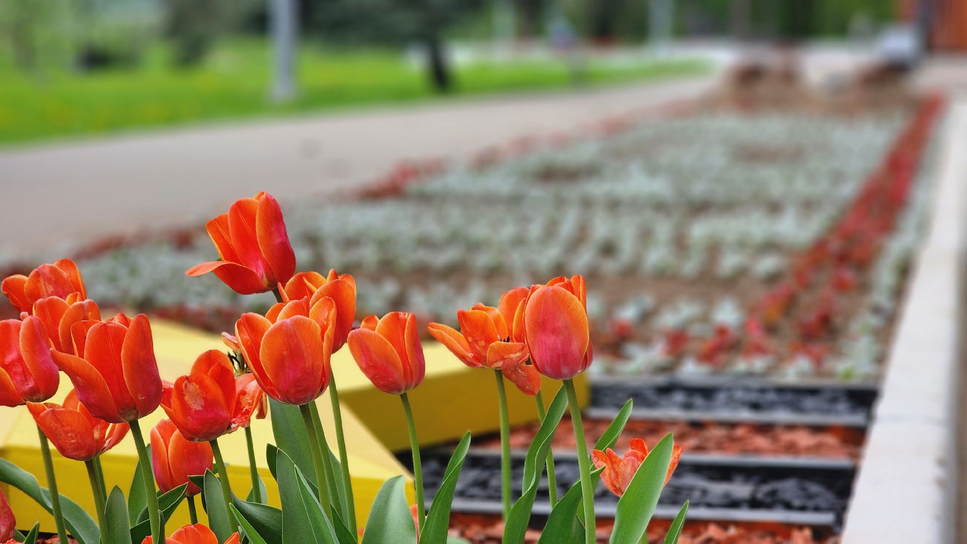 протвино, рубеж обороны, цветы, подготовка к Дню Победы, благоустройство,