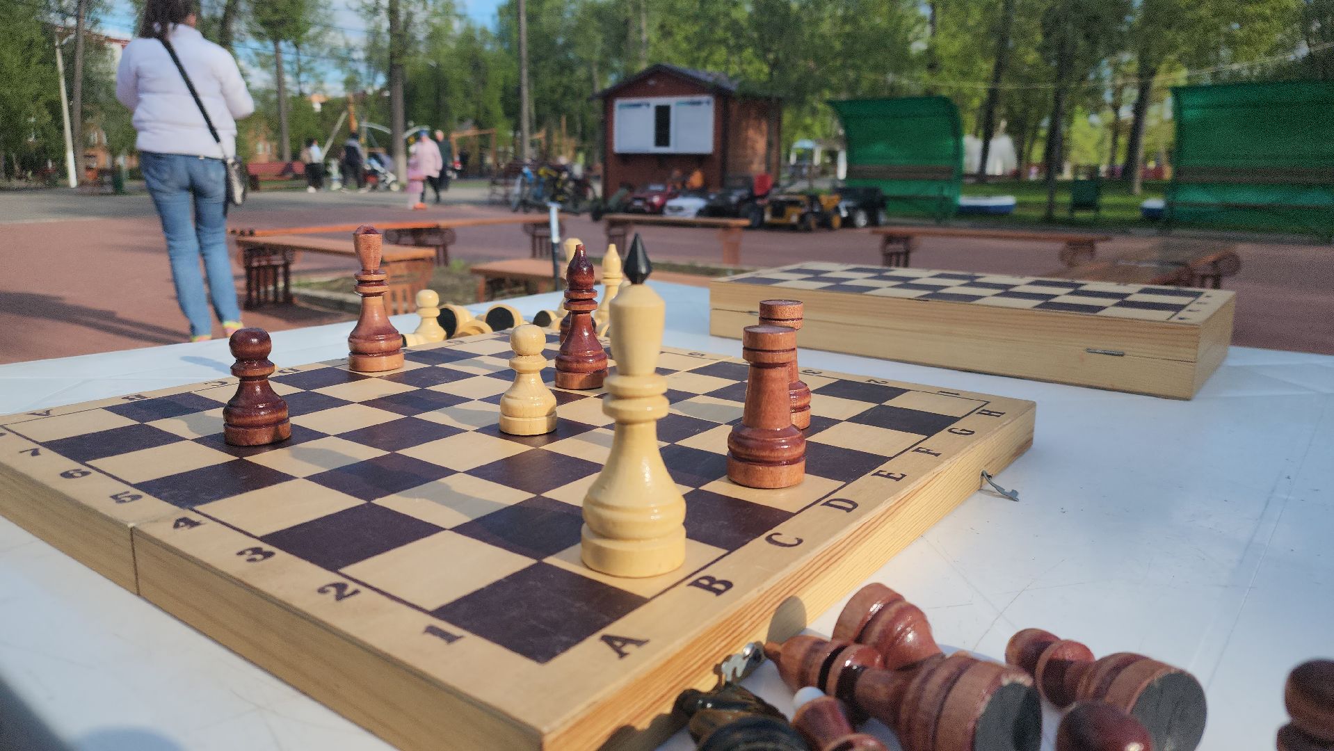 Павловский Посад, городской округ Павловский Посад, люди, жители, шашки, дети, игра, образование,