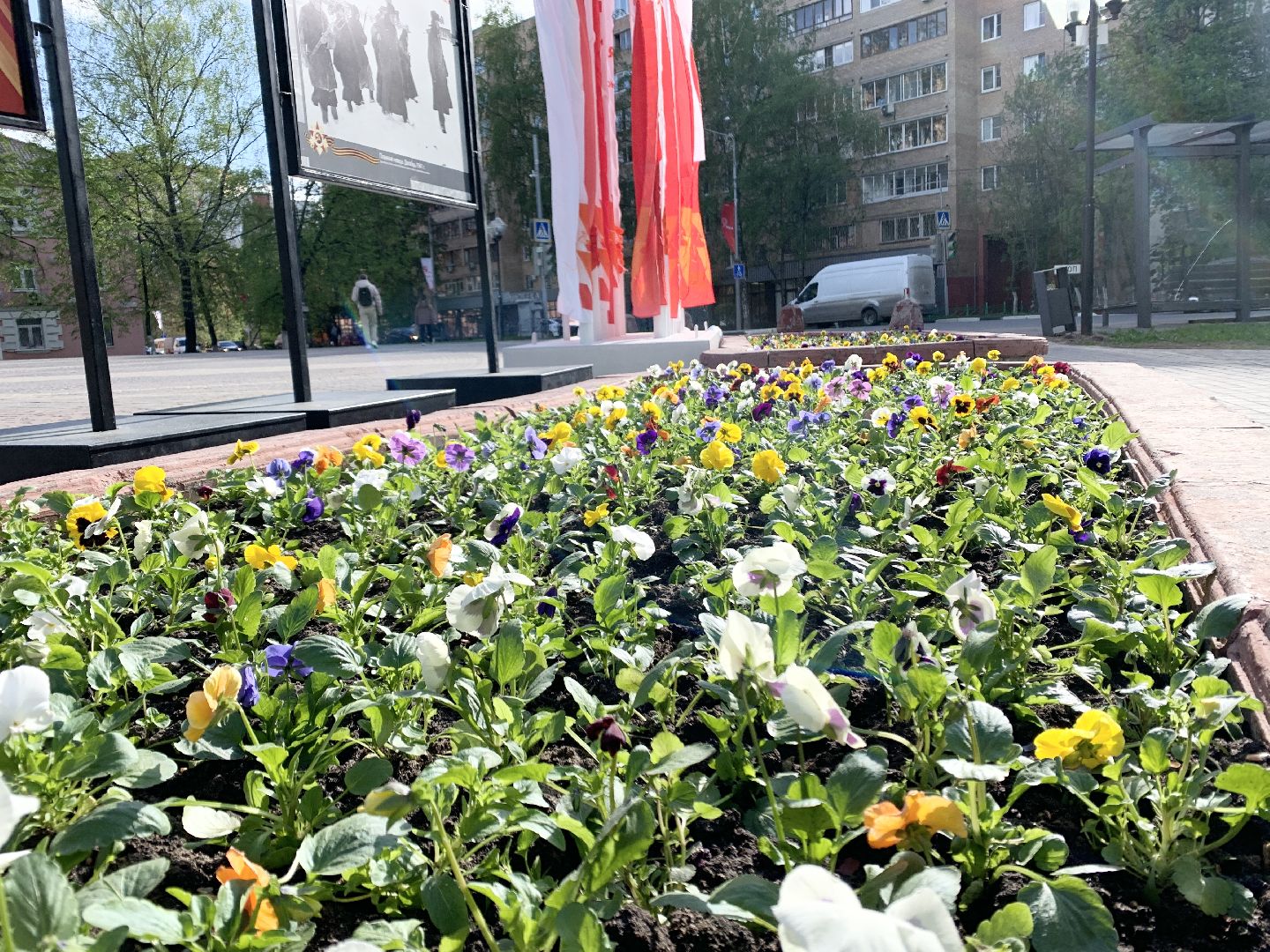 Балашиха, Подмосковье, Благоустройство, бульвар цветов, каштаны,