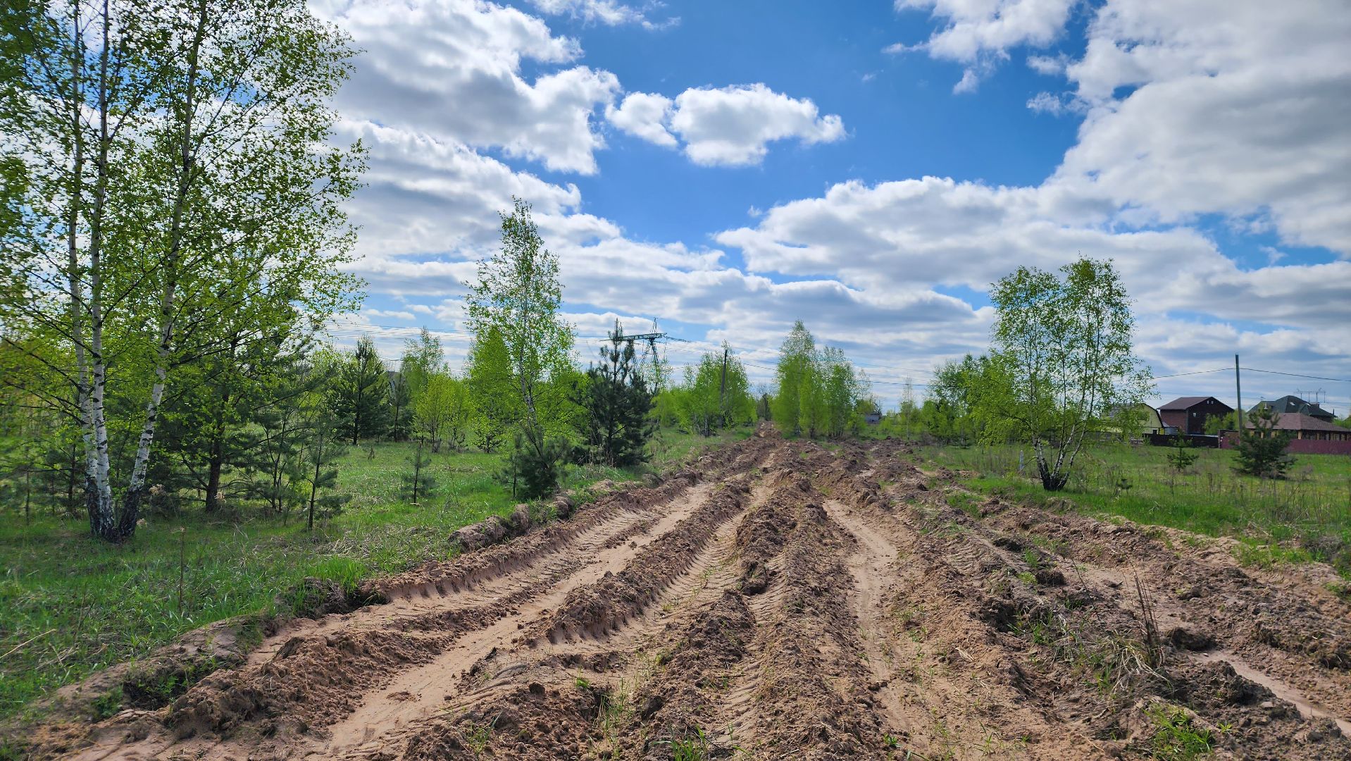 лес, пожарная безопасность, пожароопасный сезон, Лосино-Петровский,