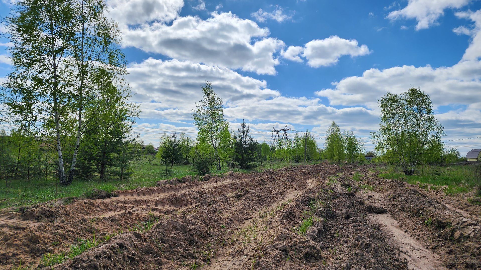 лес, пожарная безопасность, пожароопасный сезон, Лосино-Петровский,