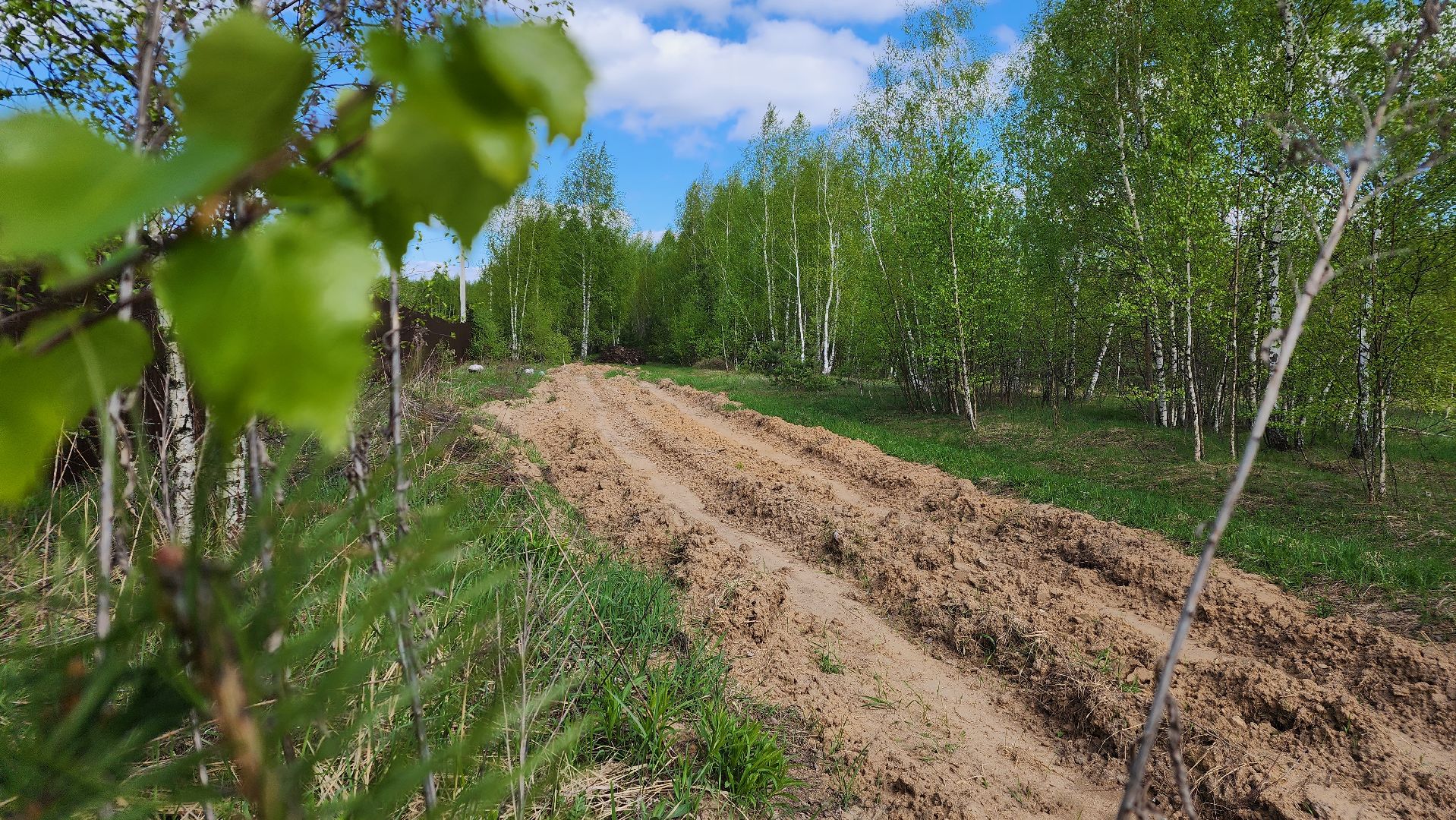 лес, пожарная безопасность, пожароопасный сезон, Лосино-Петровский,