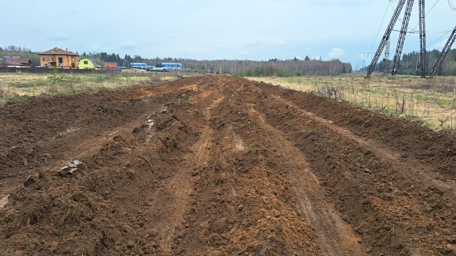 лес, пожарная безопасность, пожароопасный сезон, Лосино-Петровский,