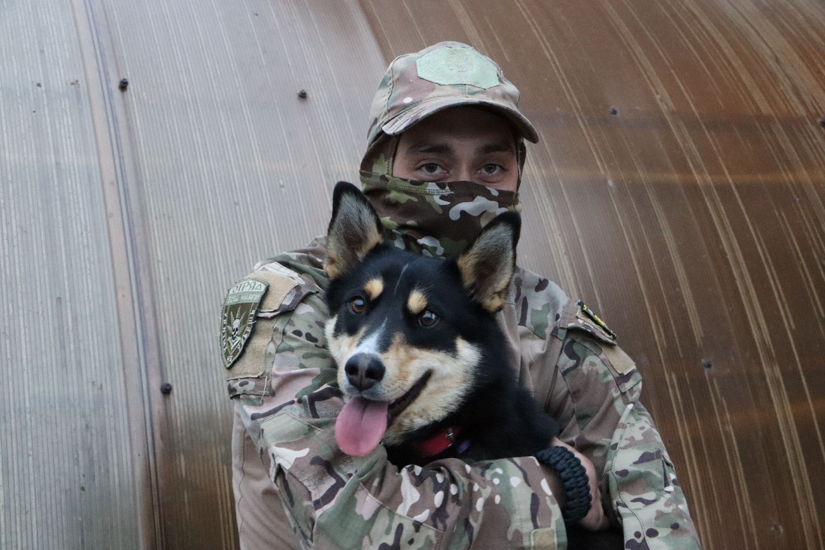 СВО, Ника, Метиска Ника, боец СВО, БАРАДА, Серебряные Пруды, собака дождалась бойца,