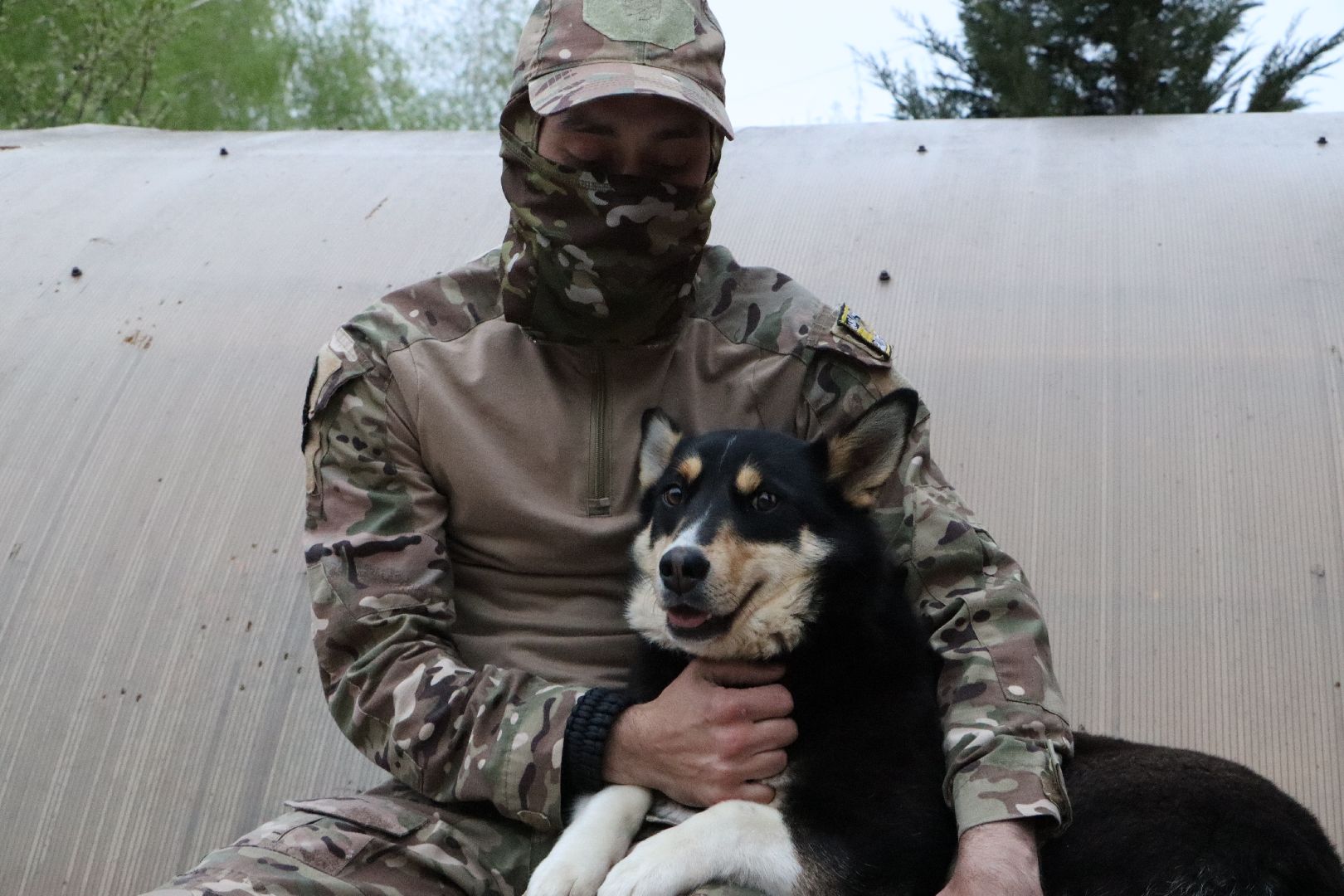 СВО, Ника, Метиска Ника, боец СВО, БАРАДА, Серебряные Пруды, собака дождалась бойца,