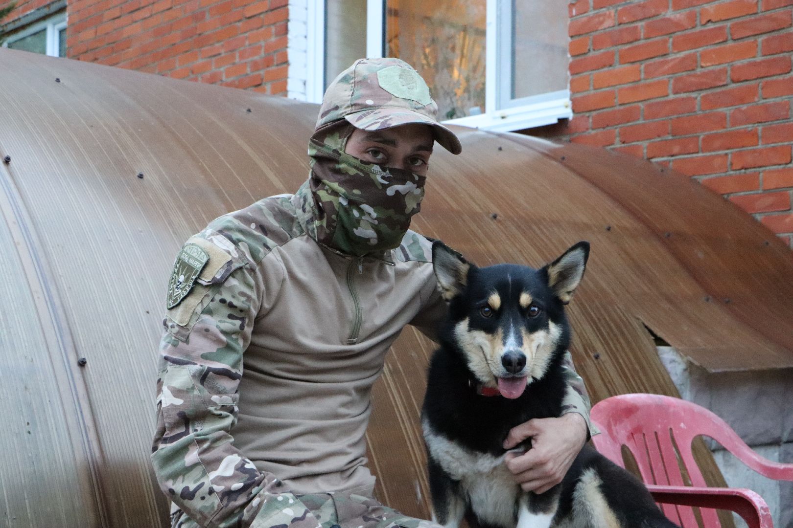 СВО, Ника, Метиска Ника, боец СВО, БАРАДА, Серебряные Пруды, собака дождалась бойца,