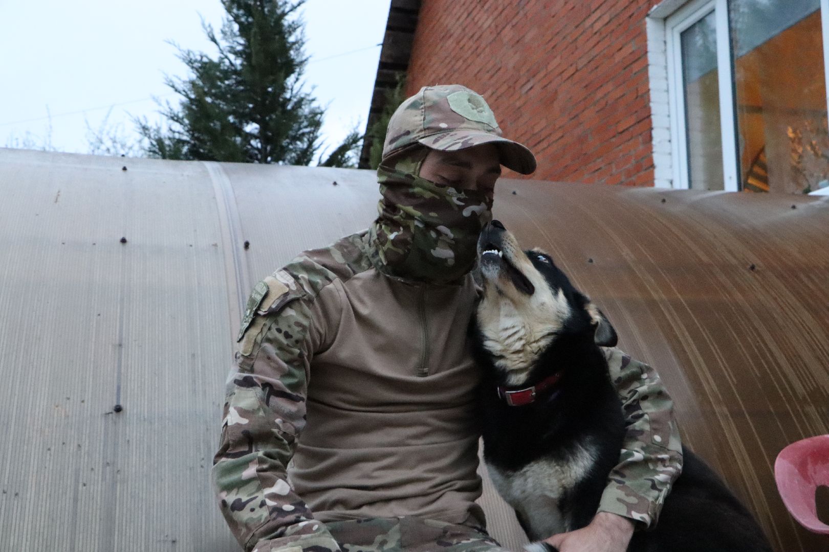 СВО, Ника, Метиска Ника, боец СВО, БАРАДА, Серебряные Пруды, собака дождалась бойца,