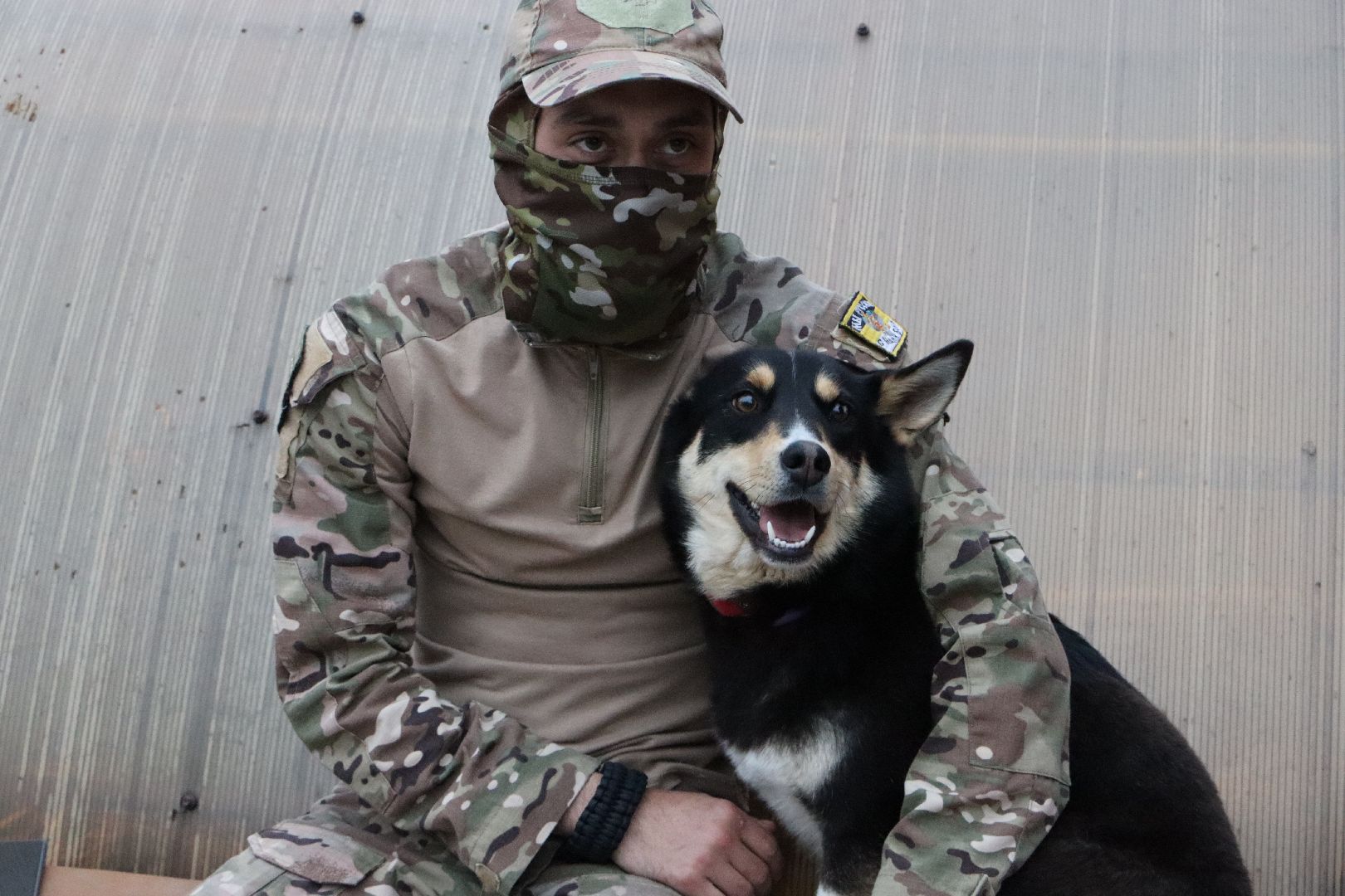 СВО, Ника, Метиска Ника, боец СВО, БАРАДА, Серебряные Пруды, собака дождалась бойца,