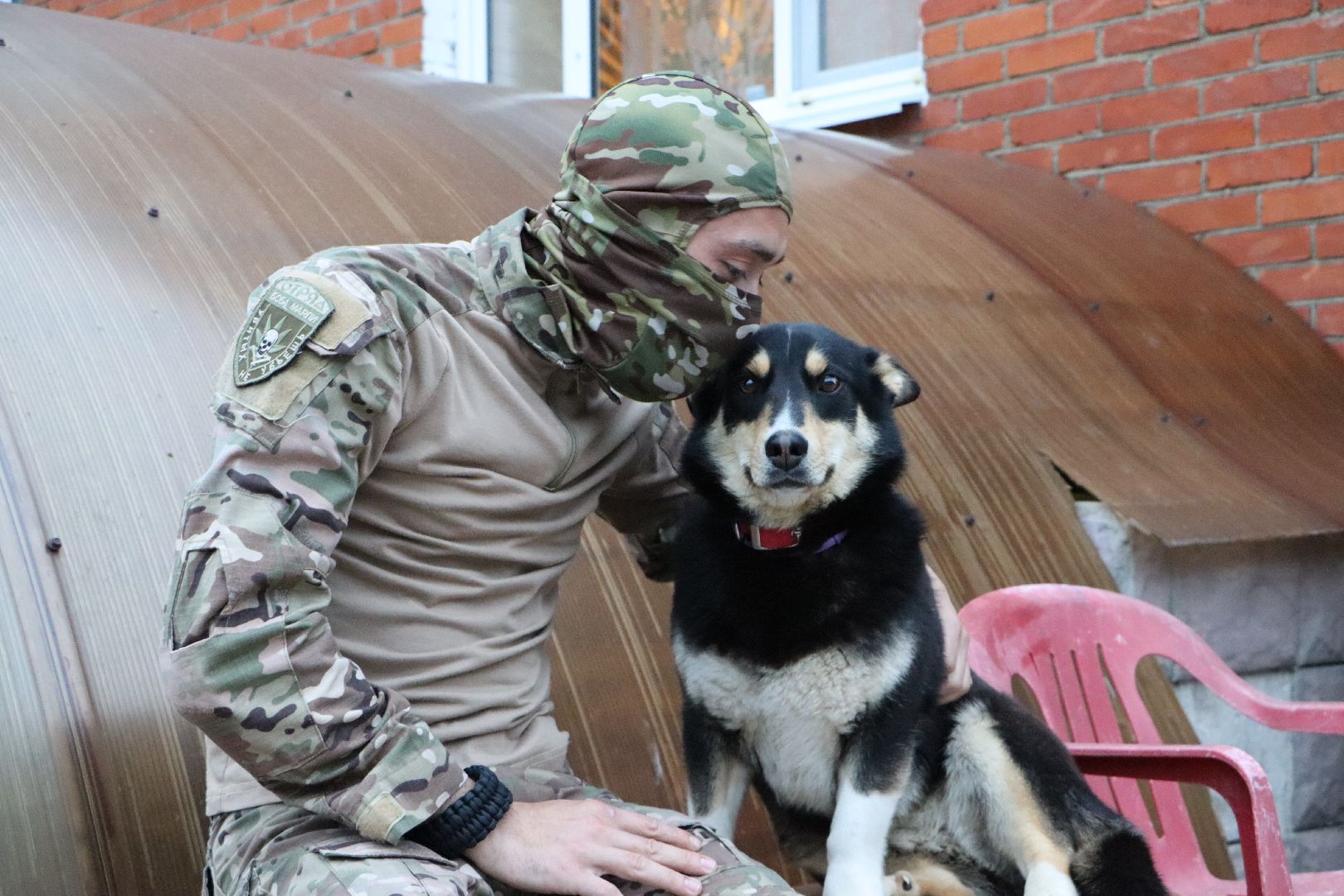 СВО, Ника, Метиска Ника, боец СВО, БАРАДА, Серебряные Пруды, собака дождалась бойца,
