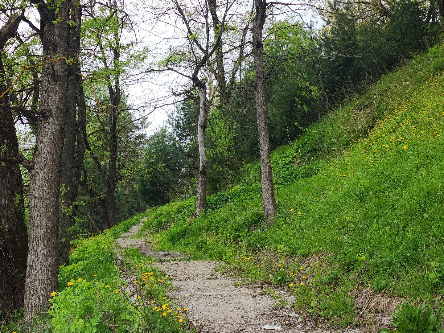 Звенигород, Туризм,