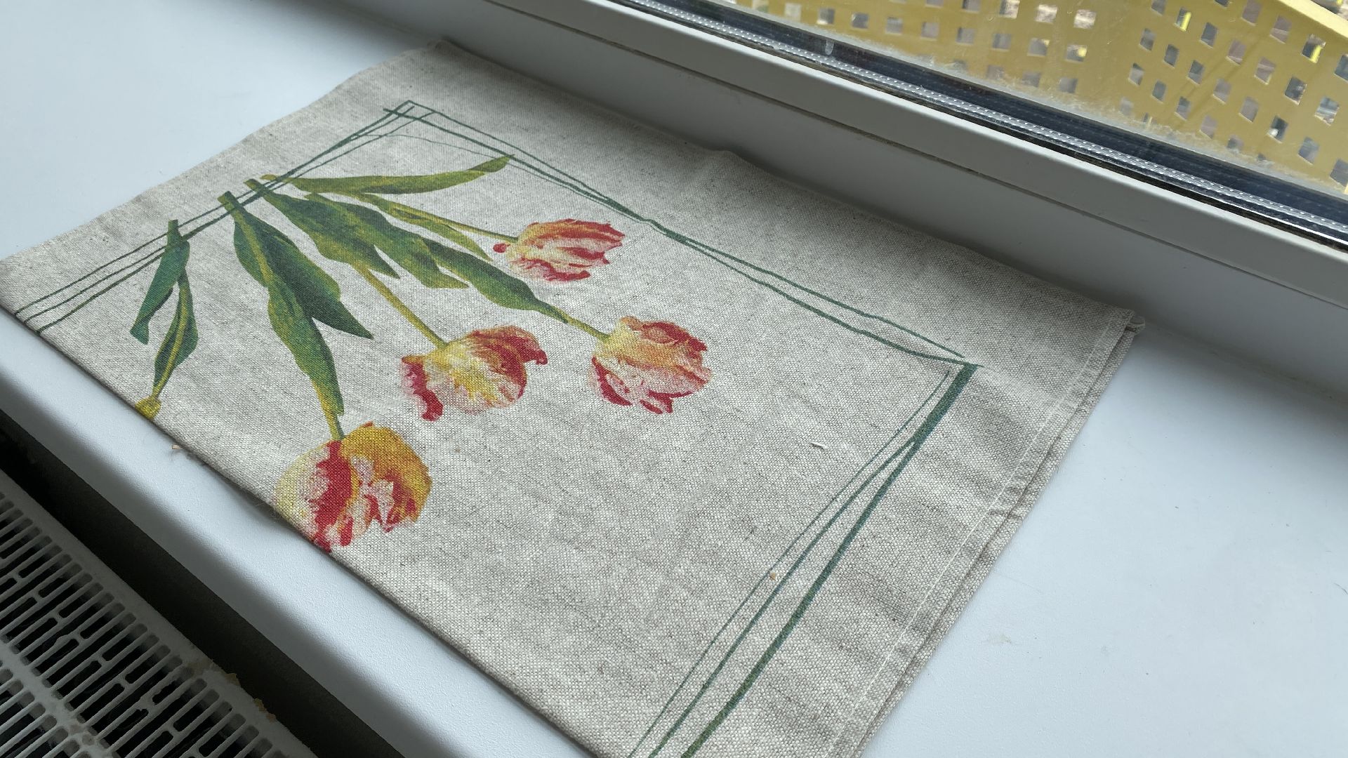 самолет образование», безвозмездная аренда жилья, ЖК Пригород Лесное, учителя подмосковья, жилье для учителей,