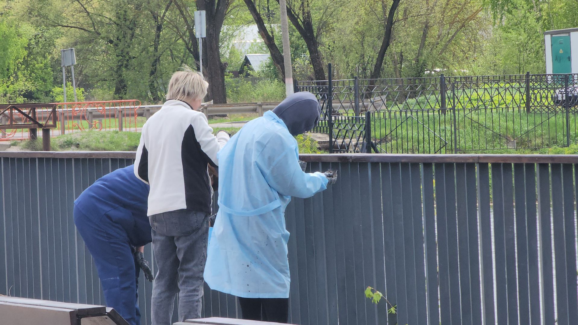 егорьевск, уборка, покраска, набережная, гуслица,