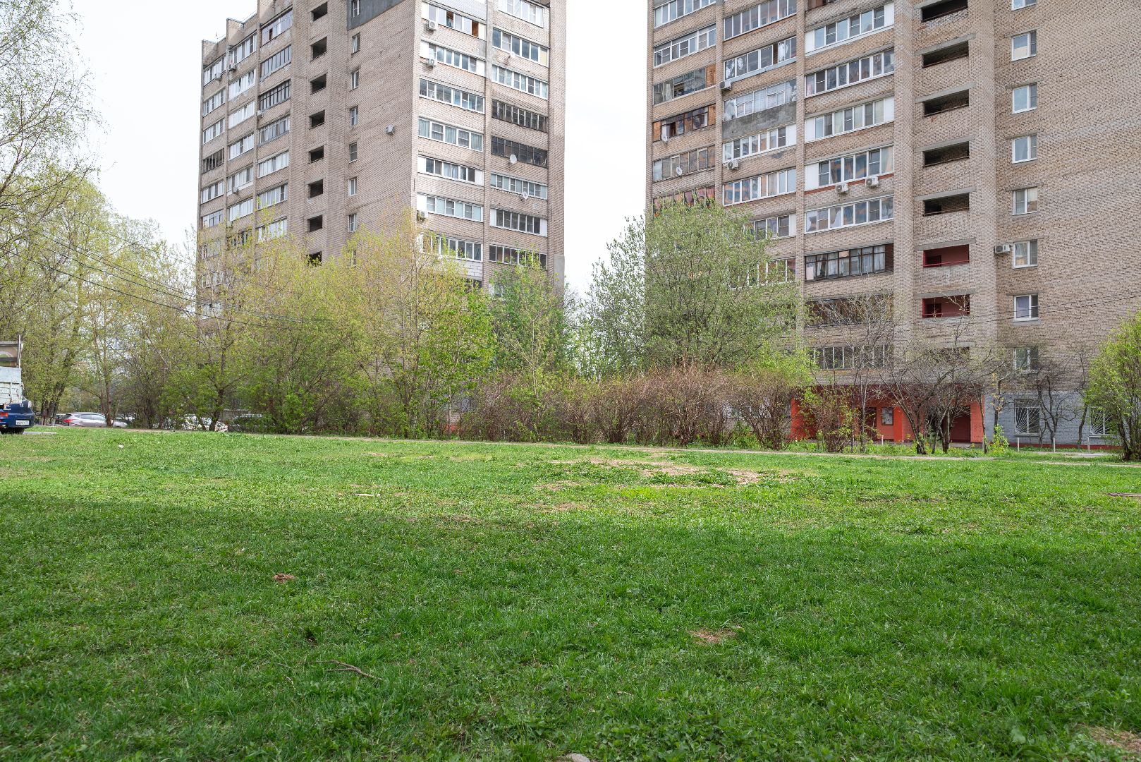 Реутов, площадка, выгул собак, четырехлапые, домашние питомцы,