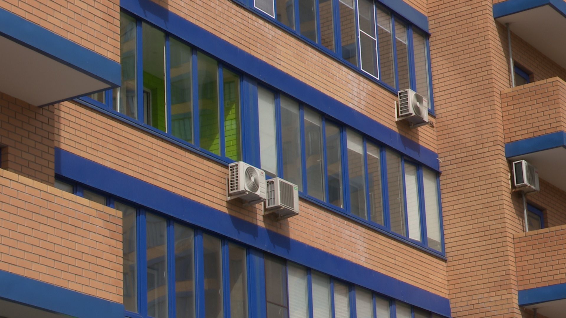 Реутов, площадка, выгул собак, четырехлапые, домашние питомцы,