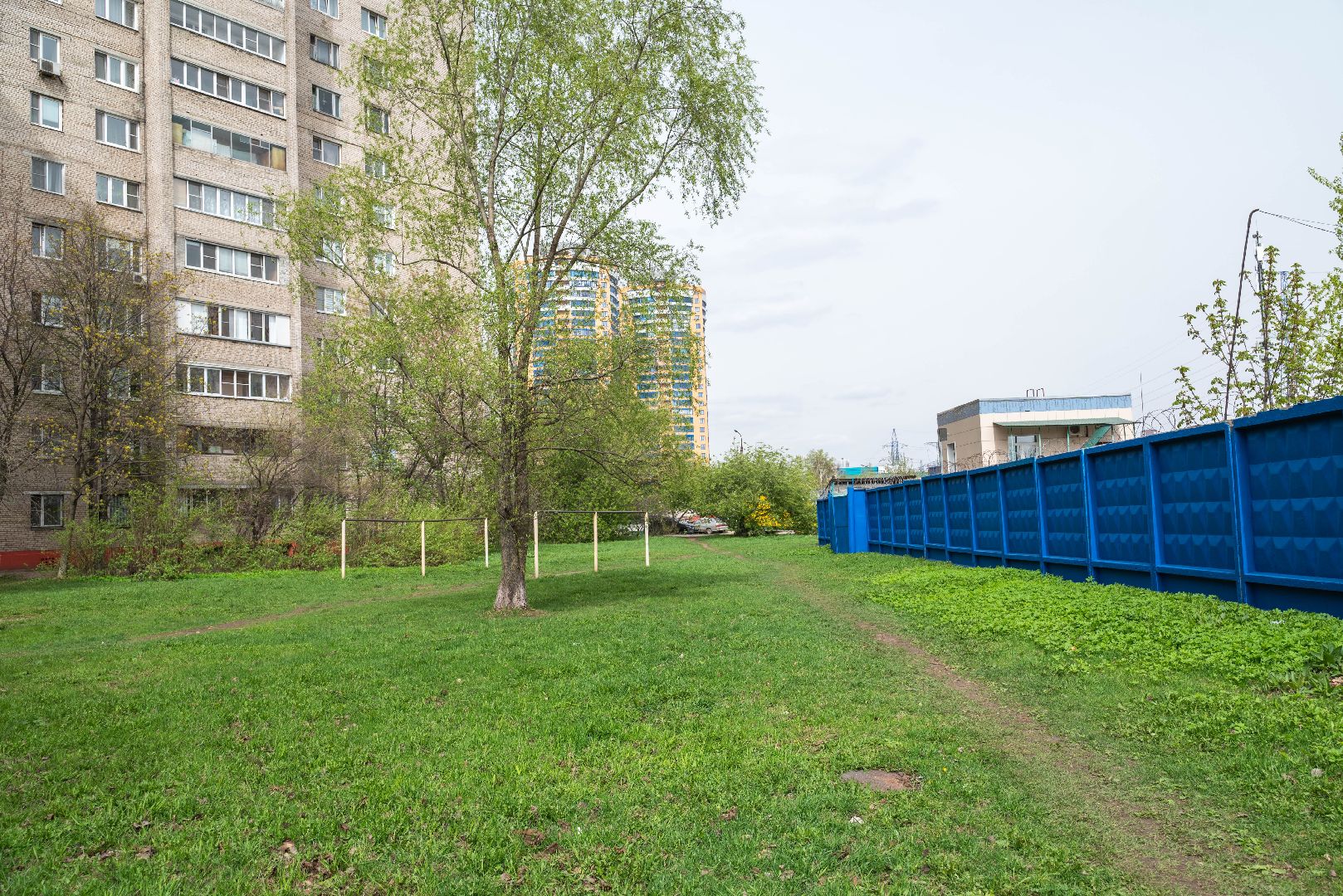 Реутов, площадка, выгул собак, четырехлапые, домашние питомцы,