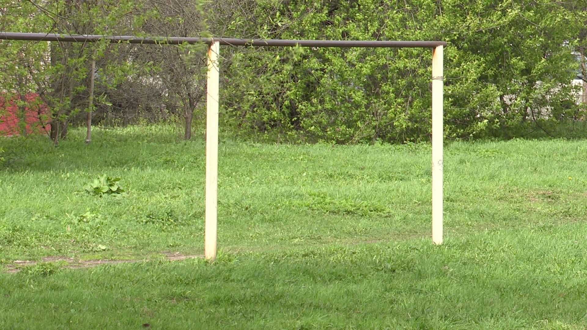 Реутов, площадка, выгул собак, четырехлапые, домашние питомцы,