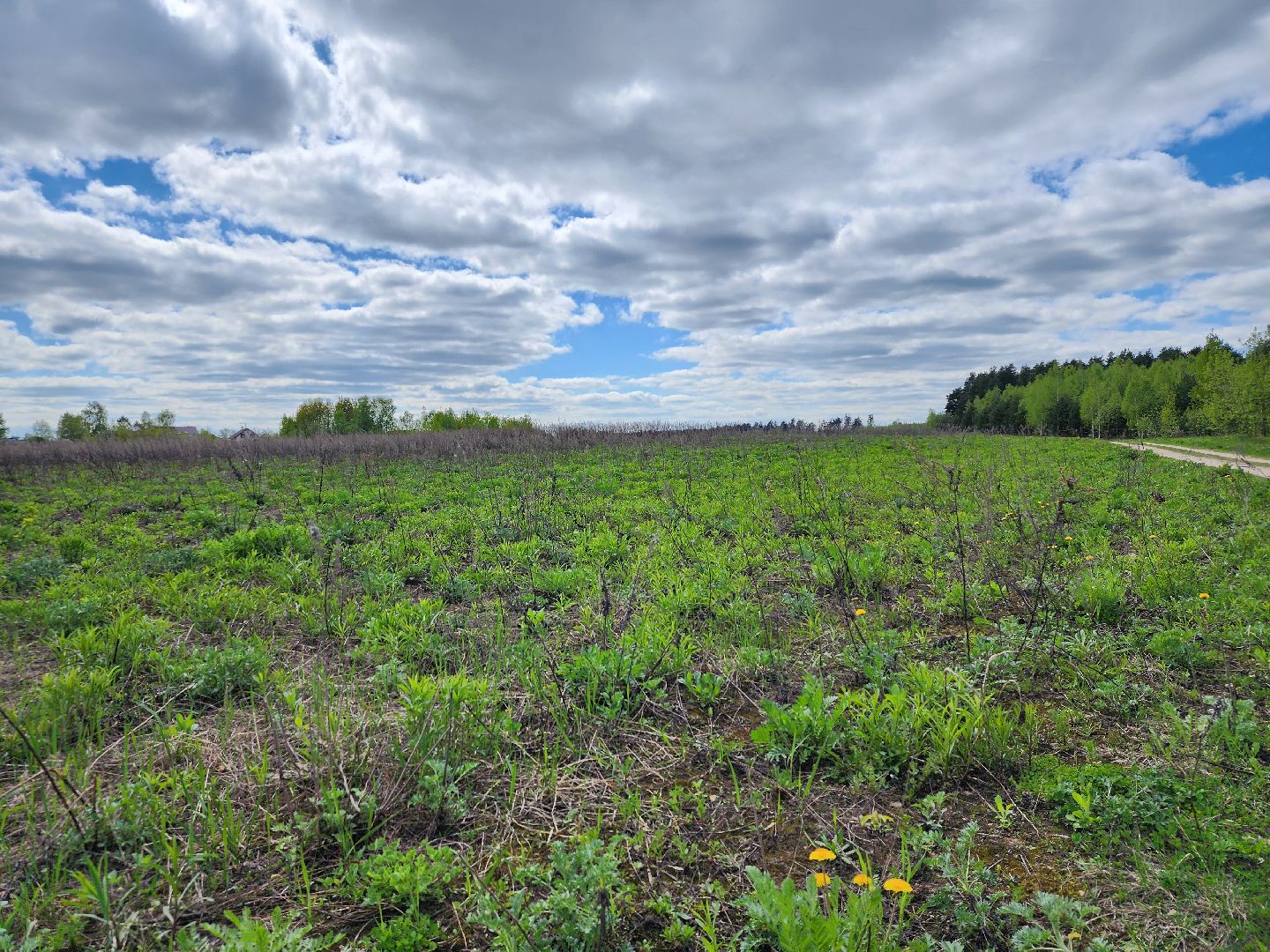 пал травы, МЧС, пожароопасный сезон, Ногинк, Богородский городской округ,
