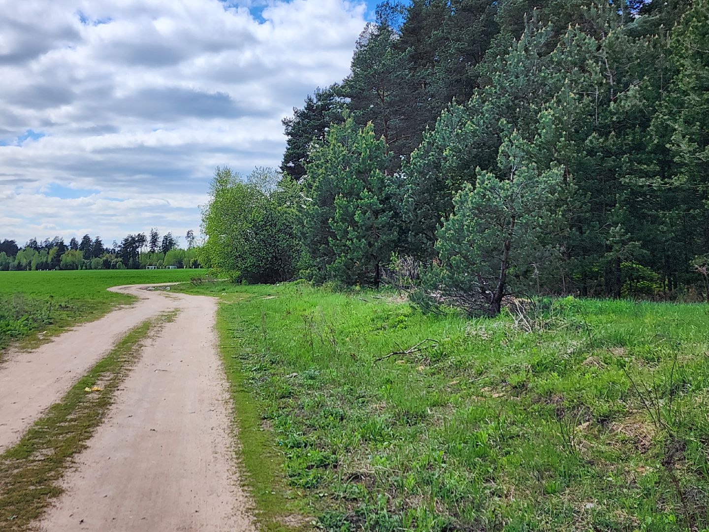 пал травы, МЧС, пожароопасный сезон, Ногинк, Богородский городской округ,