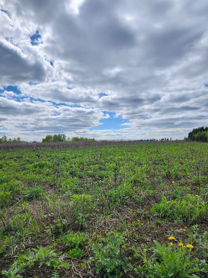 пал травы, МЧС, пожароопасный сезон, Ногинк, Богородский городской округ,
