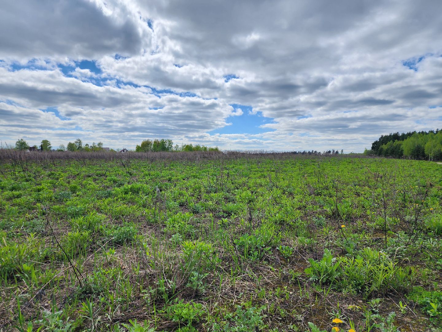 пал травы, МЧС, пожароопасный сезон, Ногинк, Богородский городской округ,