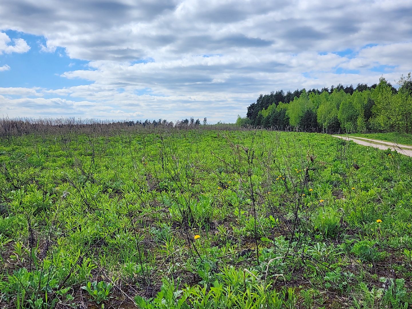 пал травы, МЧС, пожароопасный сезон, Ногинк, Богородский городской округ,