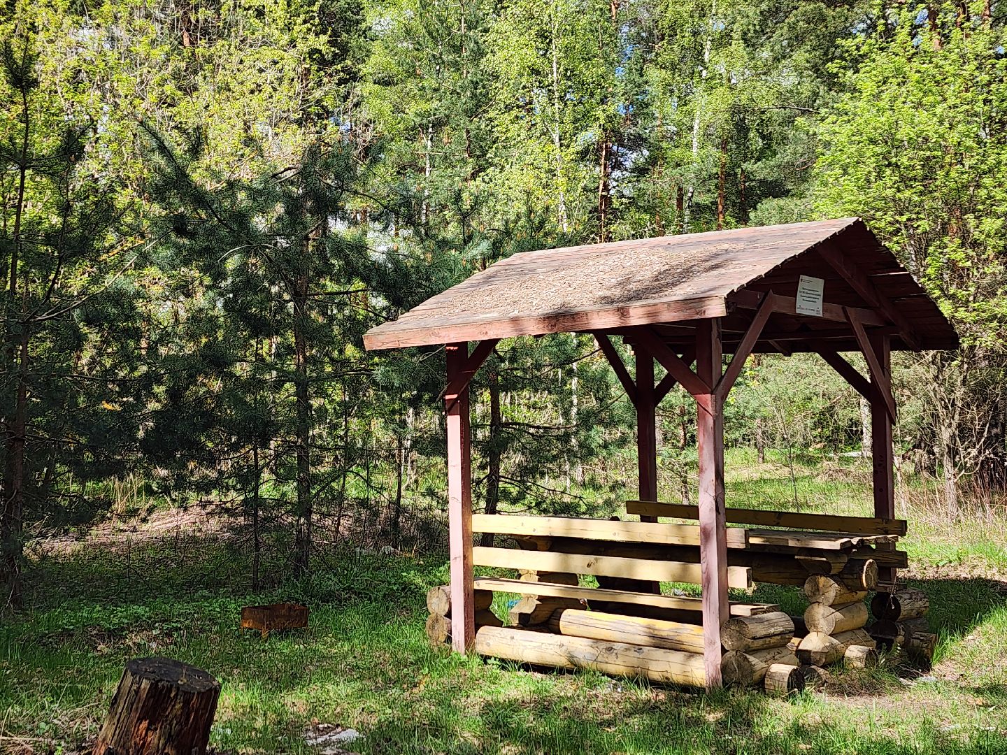 пожароопасный сезон, пикниковые зоны, разведение костров, Ногинск, Богородский городской округ,