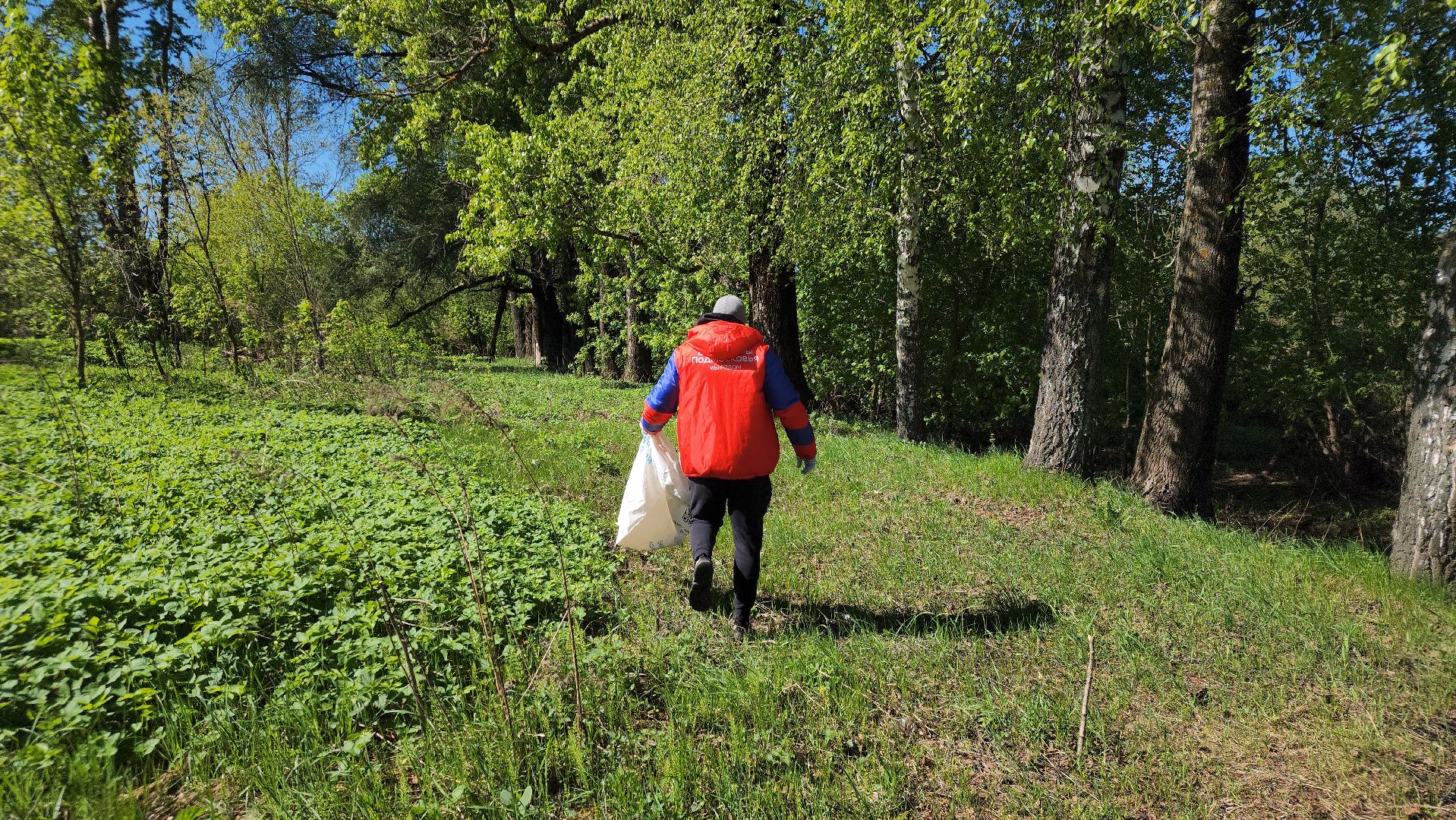 Павловский Посад, Городской округ Павловский Посад, Люди, Жители, Уборка, Акция,