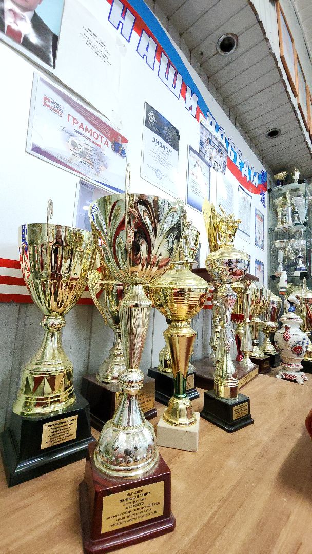 электросталь, электросталь спортивная, дзюдо, дзюдоистка, мастер спорта, школа дзюдо,