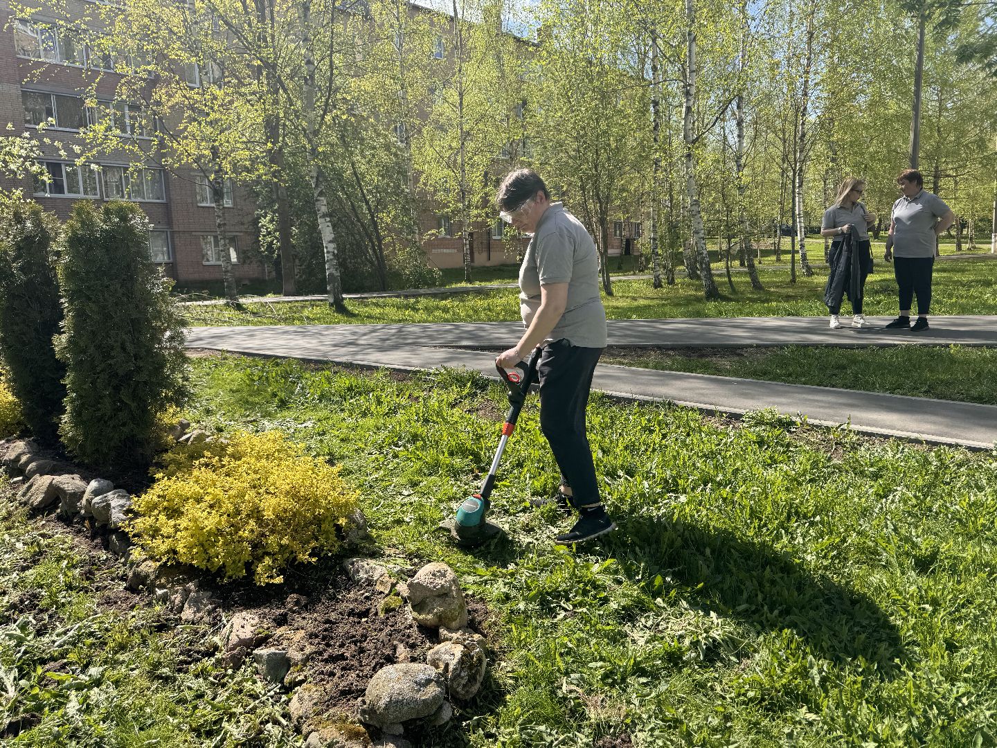 шаховская, клумбы, коммунальная служба, цветы, первоцветы,