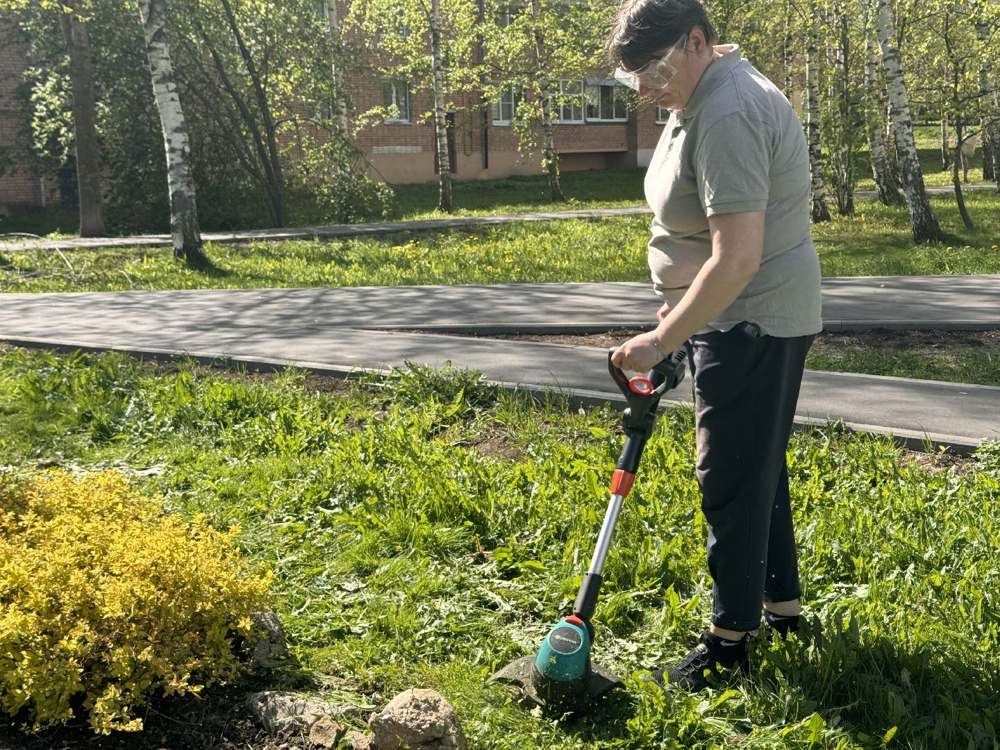 шаховская, клумбы, коммунальная служба, цветы, первоцветы,