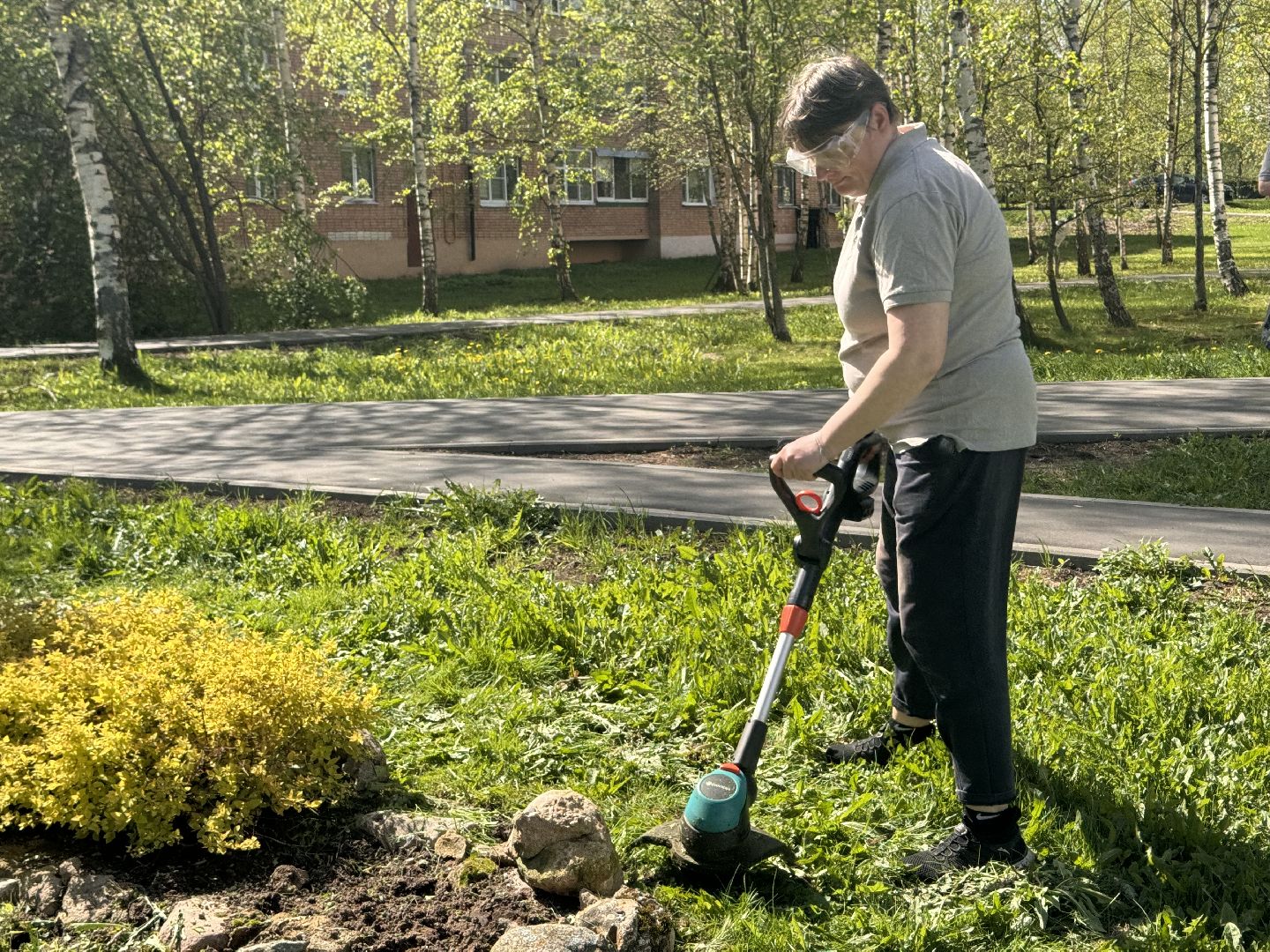 шаховская, клумбы, коммунальная служба, цветы, первоцветы,