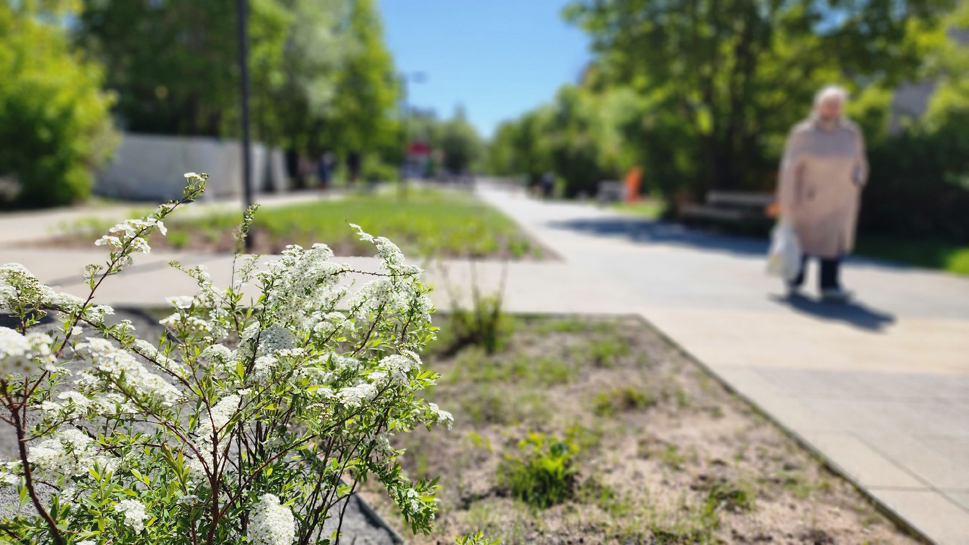 протвино, лесной бульвар, благоустройство, второй этап, конкурс малых городов и исторических поселений,