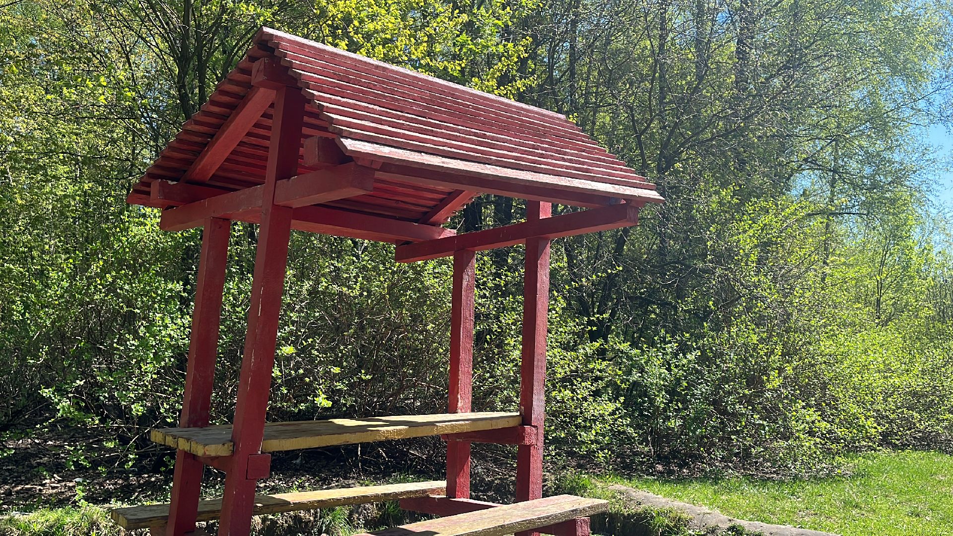 шашлык, шашлыки, озеро, шашлык у озера, мангал,