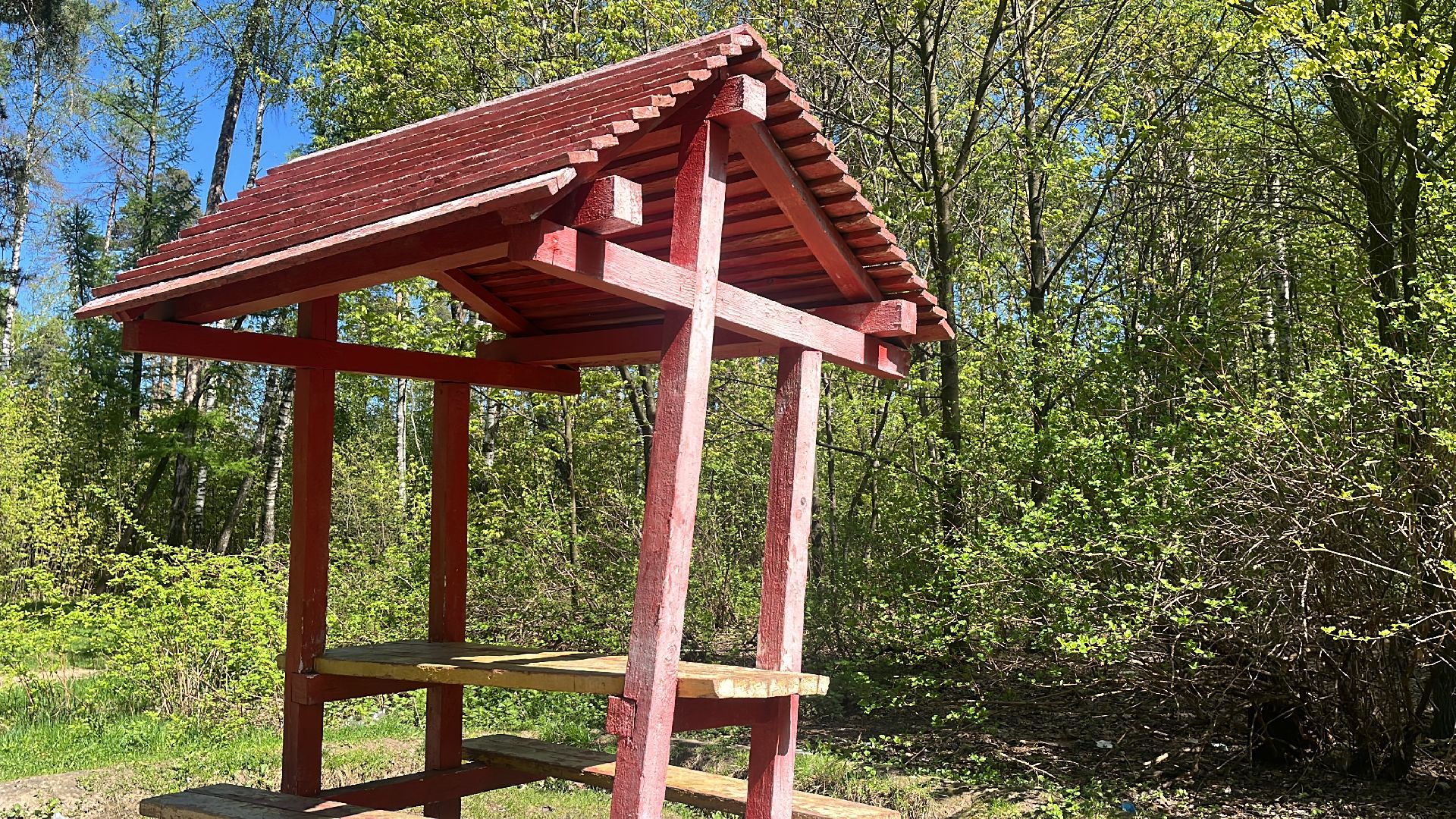 шашлык, шашлыки, озеро, шашлык у озера, мангал,