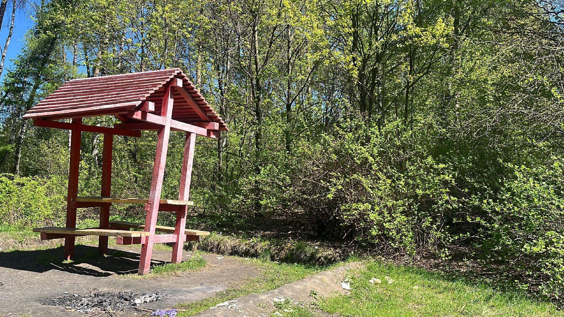 шашлык, шашлыки, озеро, шашлык у озера, мангал,