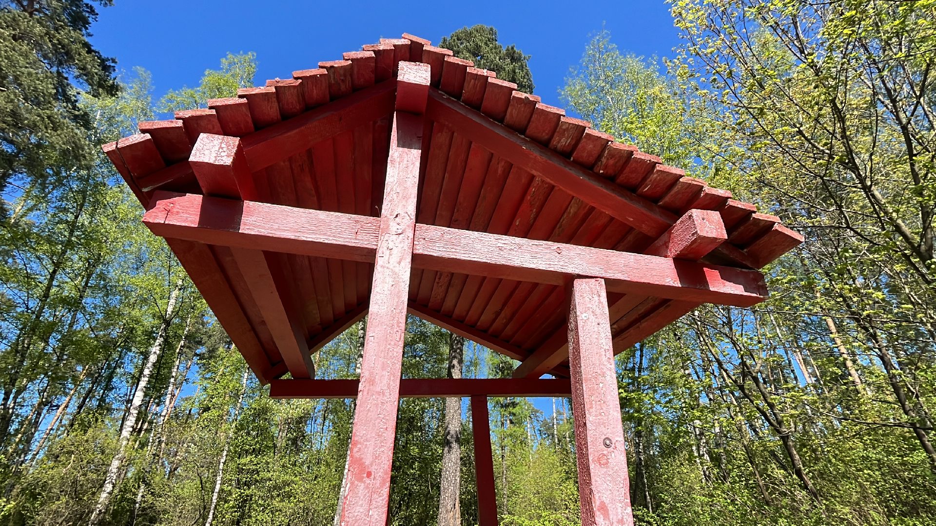 шашлык, шашлыки, озеро, шашлык у озера, мангал,